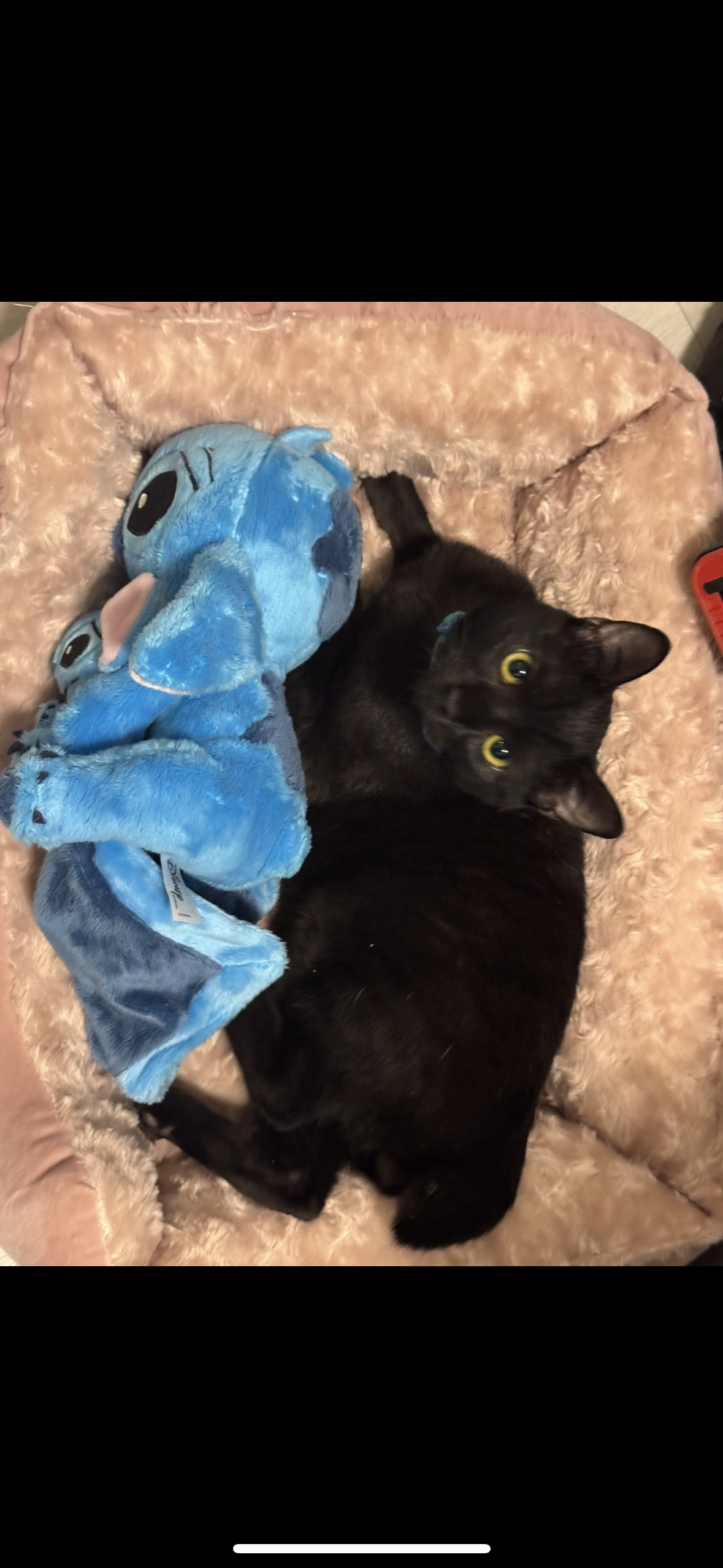 Gece - Endertstraße, Cochem