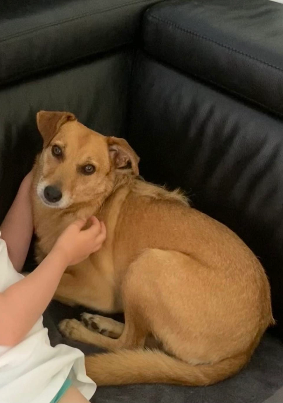 Jenny - De Oude Landen, Antwerpen