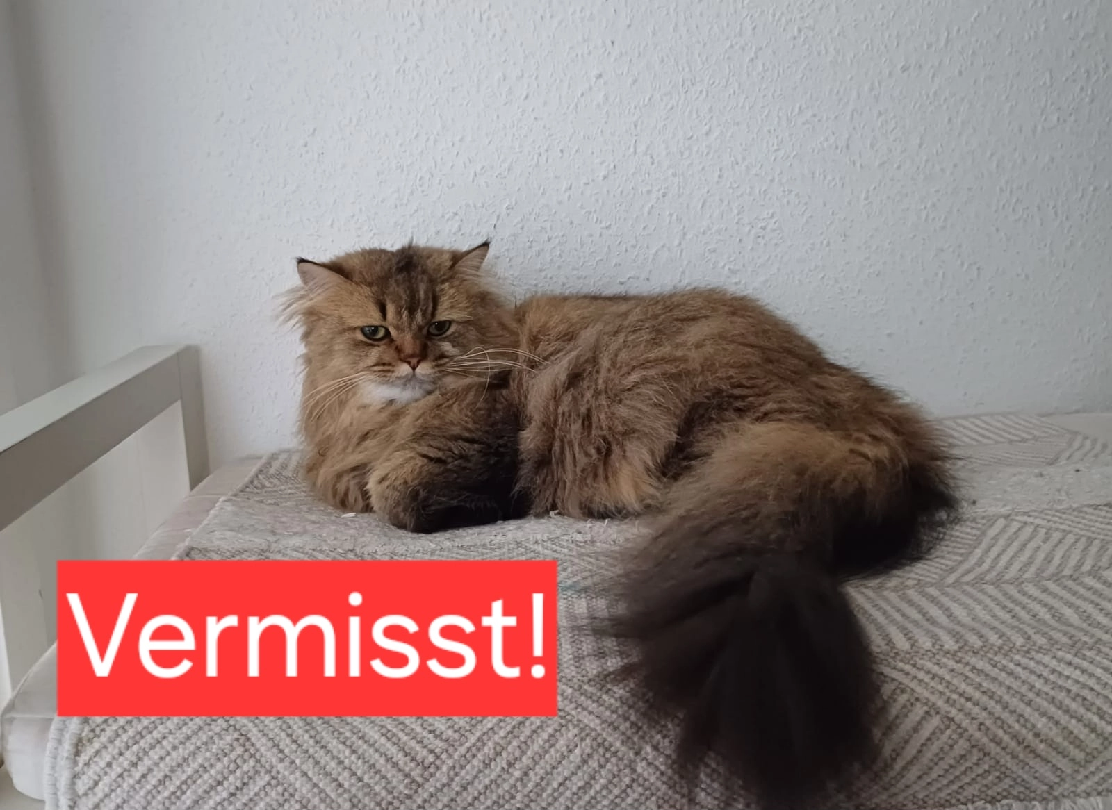 Charlie - A2, Gelsenkirchen