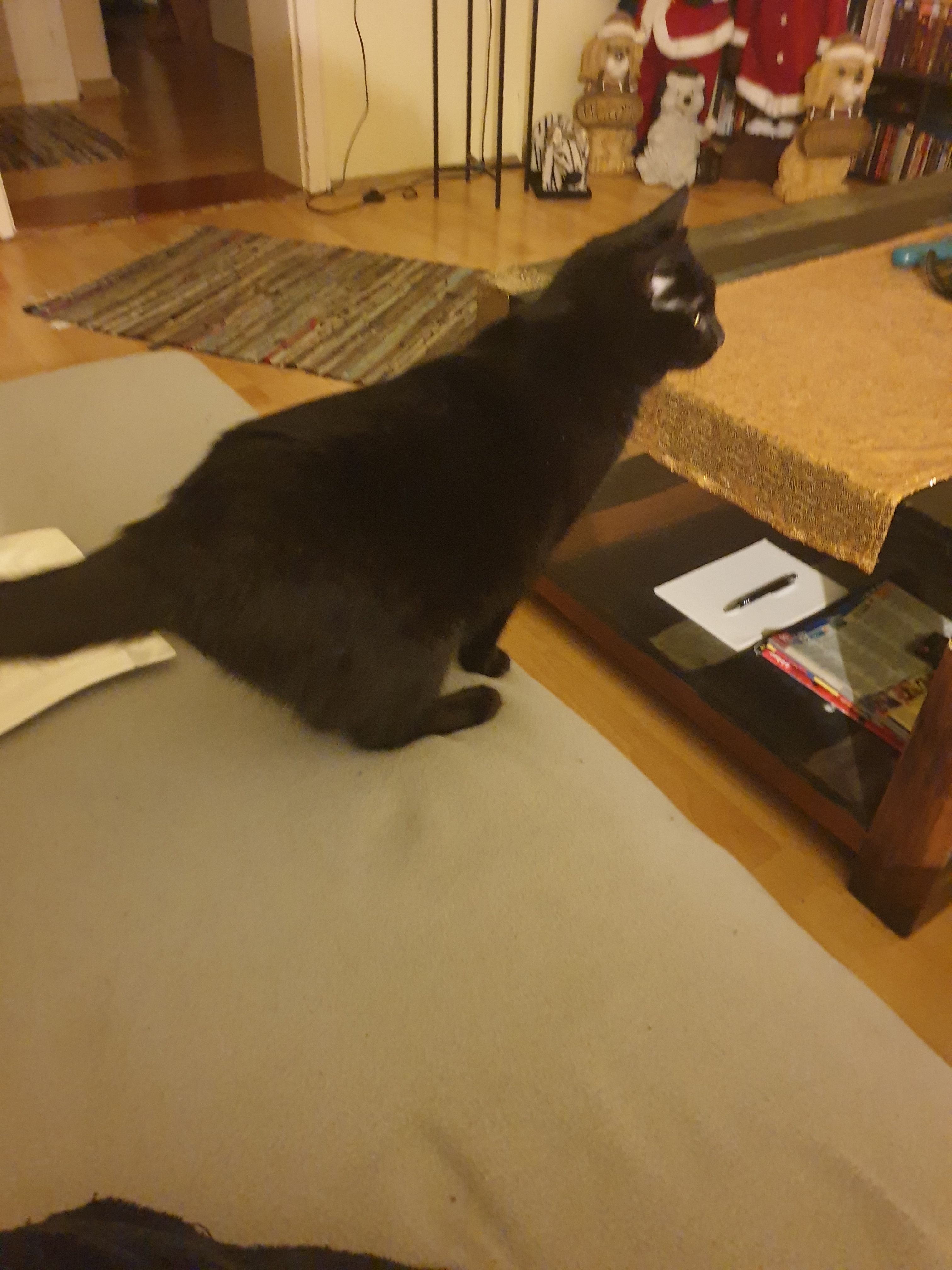 Motte - Hamburger Straße, Bremerhaven