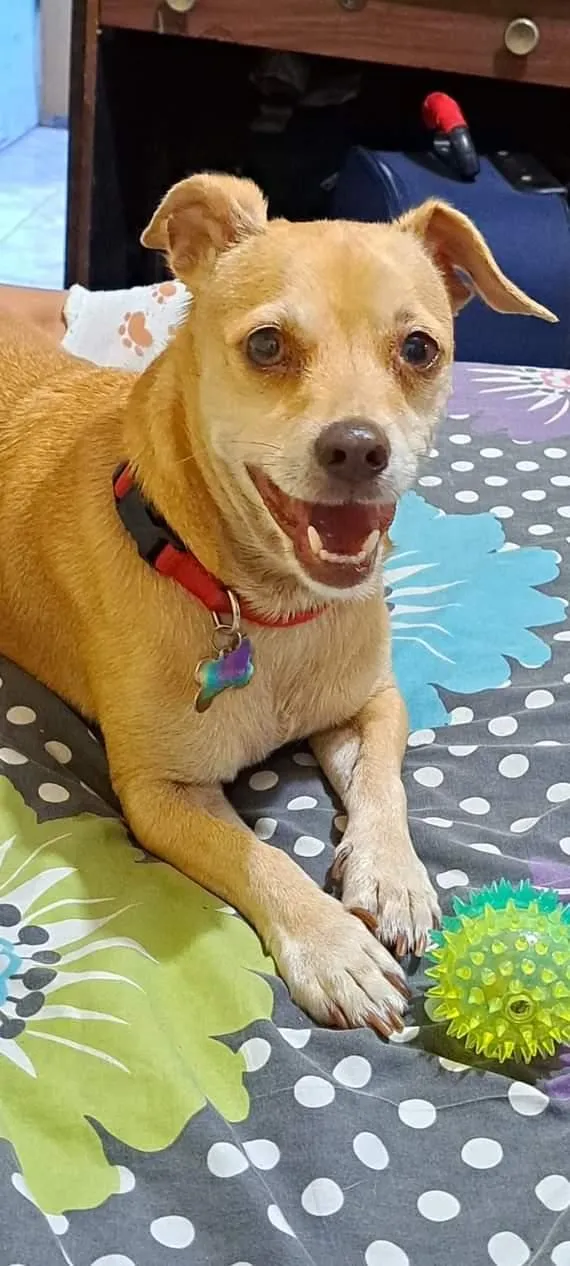 Jack - 15905 Valley View Ave, Santa Fe Springs