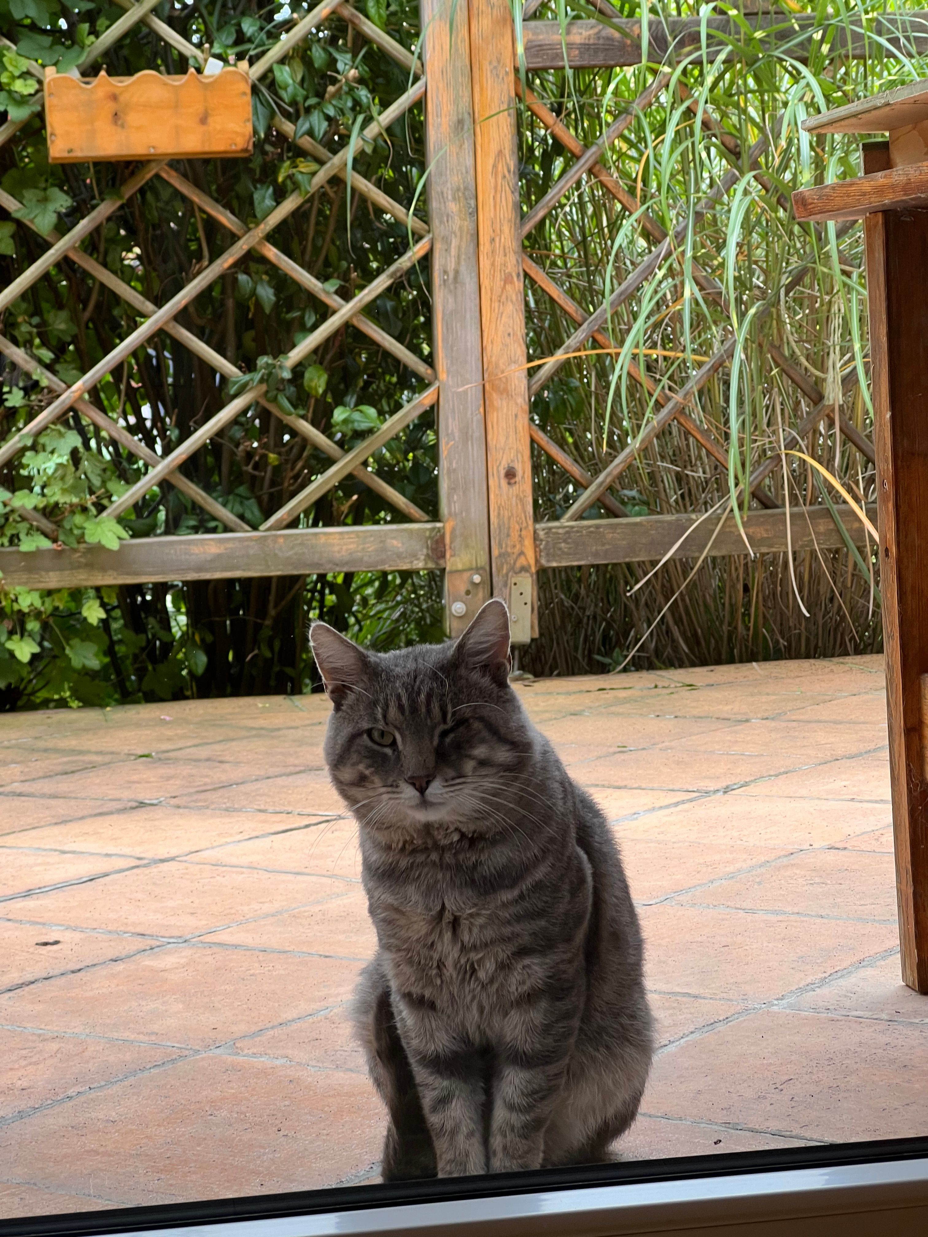 Woko - Wildensteiner Weg, Dietfurt an der Altmühl