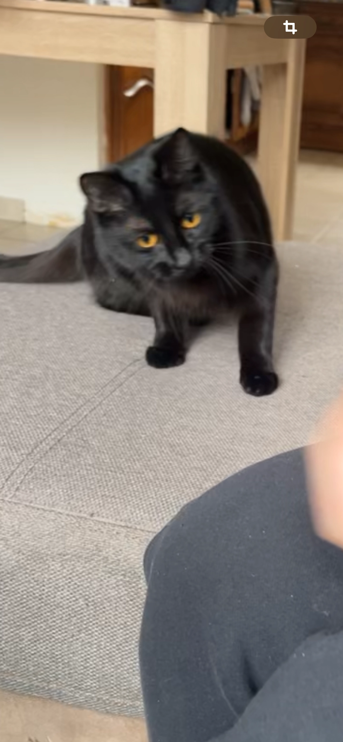 Kiara - 3 Route de Dalstein, Ébersviller