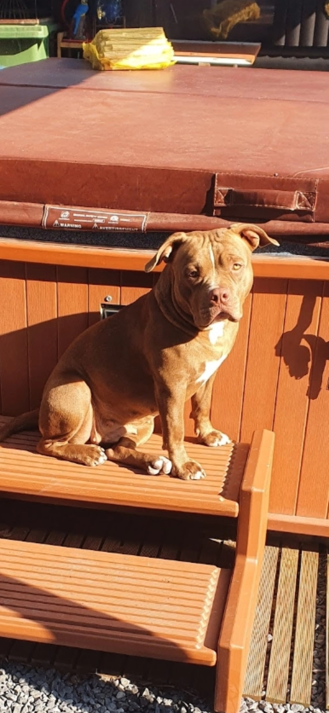 Chico  - Woestijnestraat, Clinge