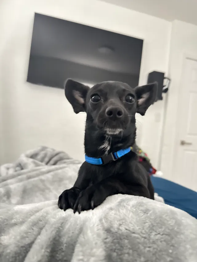 Margo - NW 36th Ave, Miami Gardens