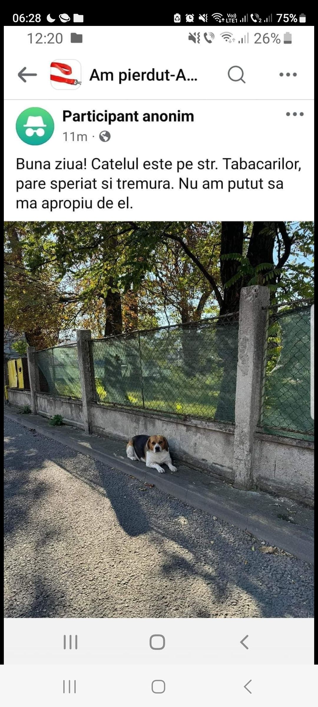 Raspy - Tăbăcarilor , Cluj-Napoca