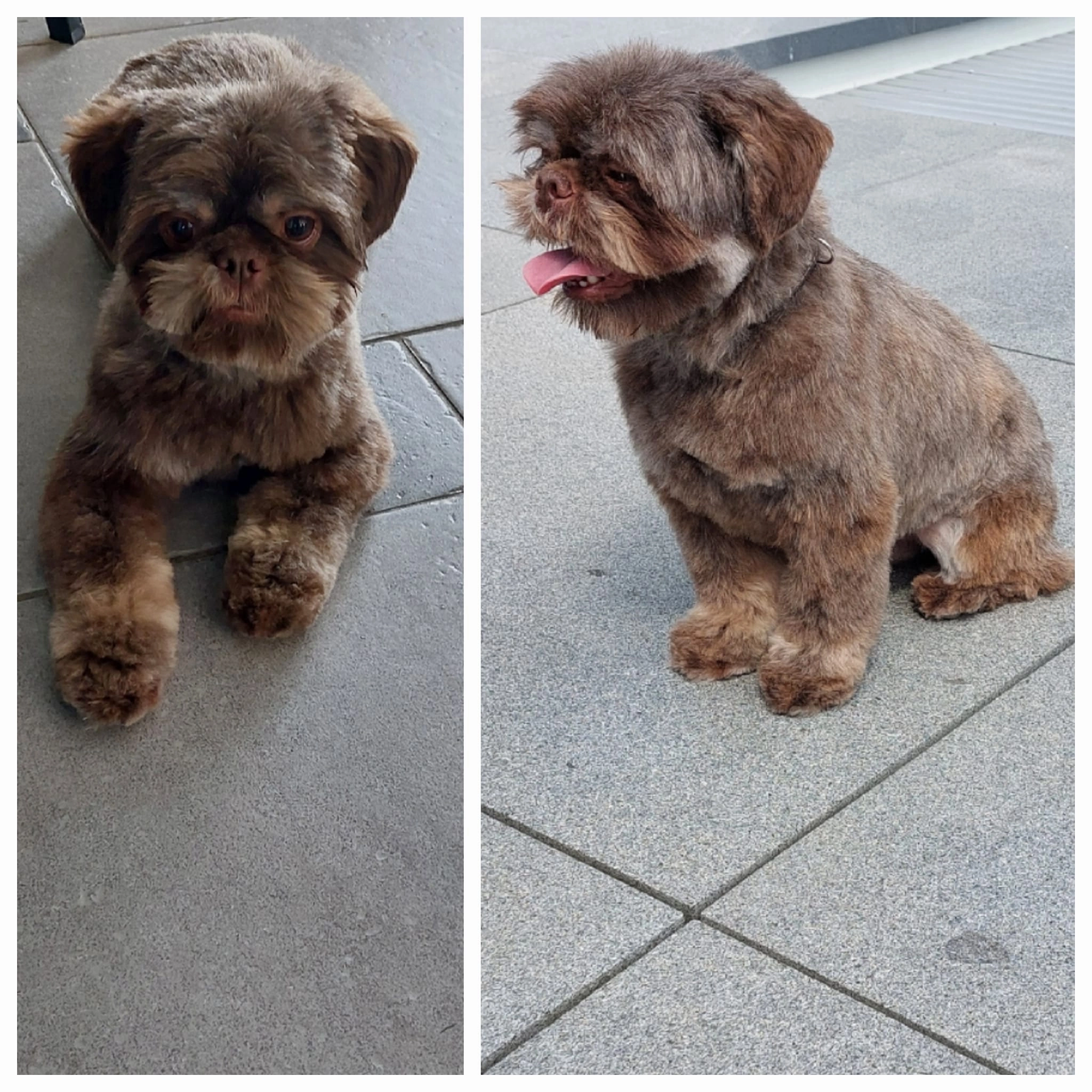 Otis - Clos du Verlinet 2, Gembloux