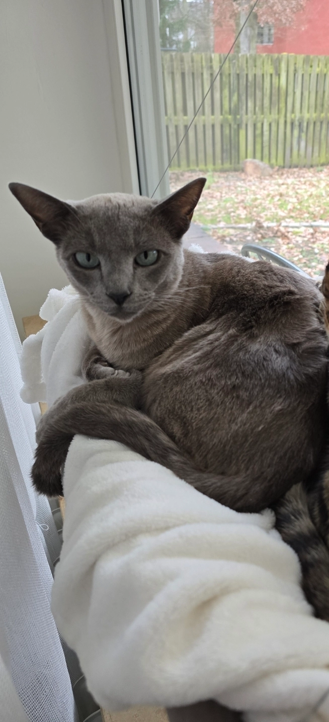 Ezo - Schulstraße, Schwebheim