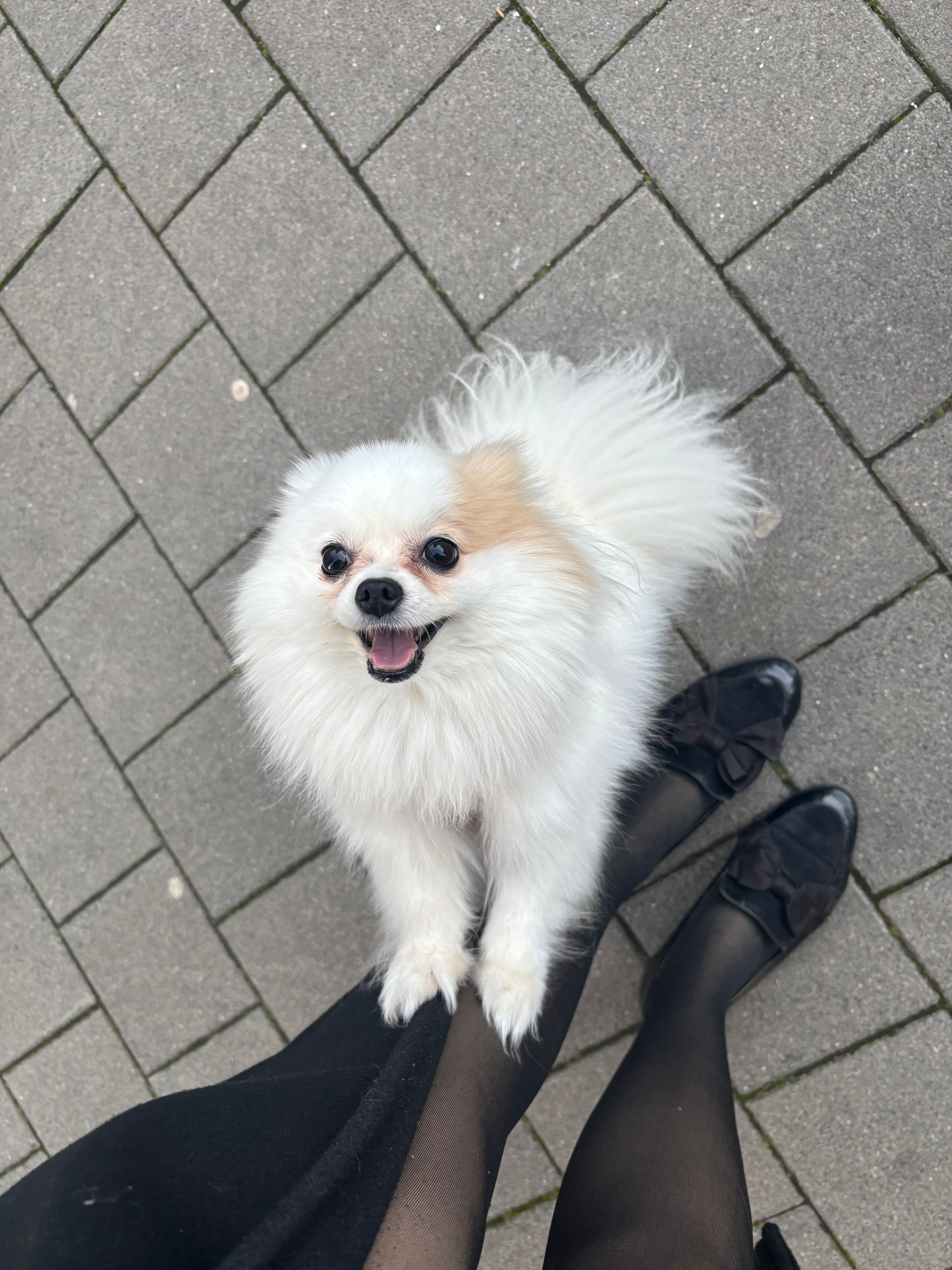 Pixel  - Seckbächer Gasse, Frankfurt