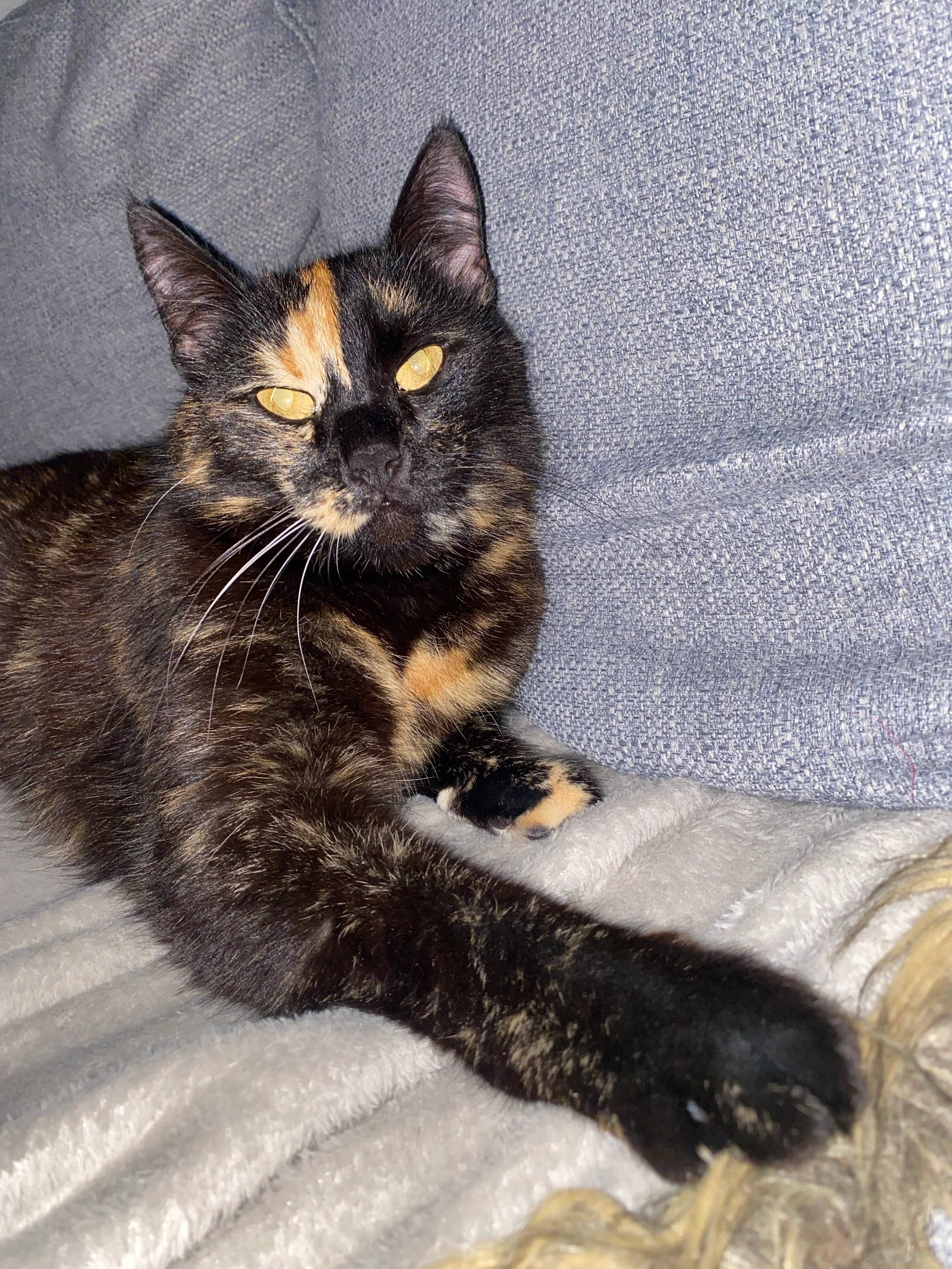 Lilo - Heinrich-Heine-Straße, Sömmerda