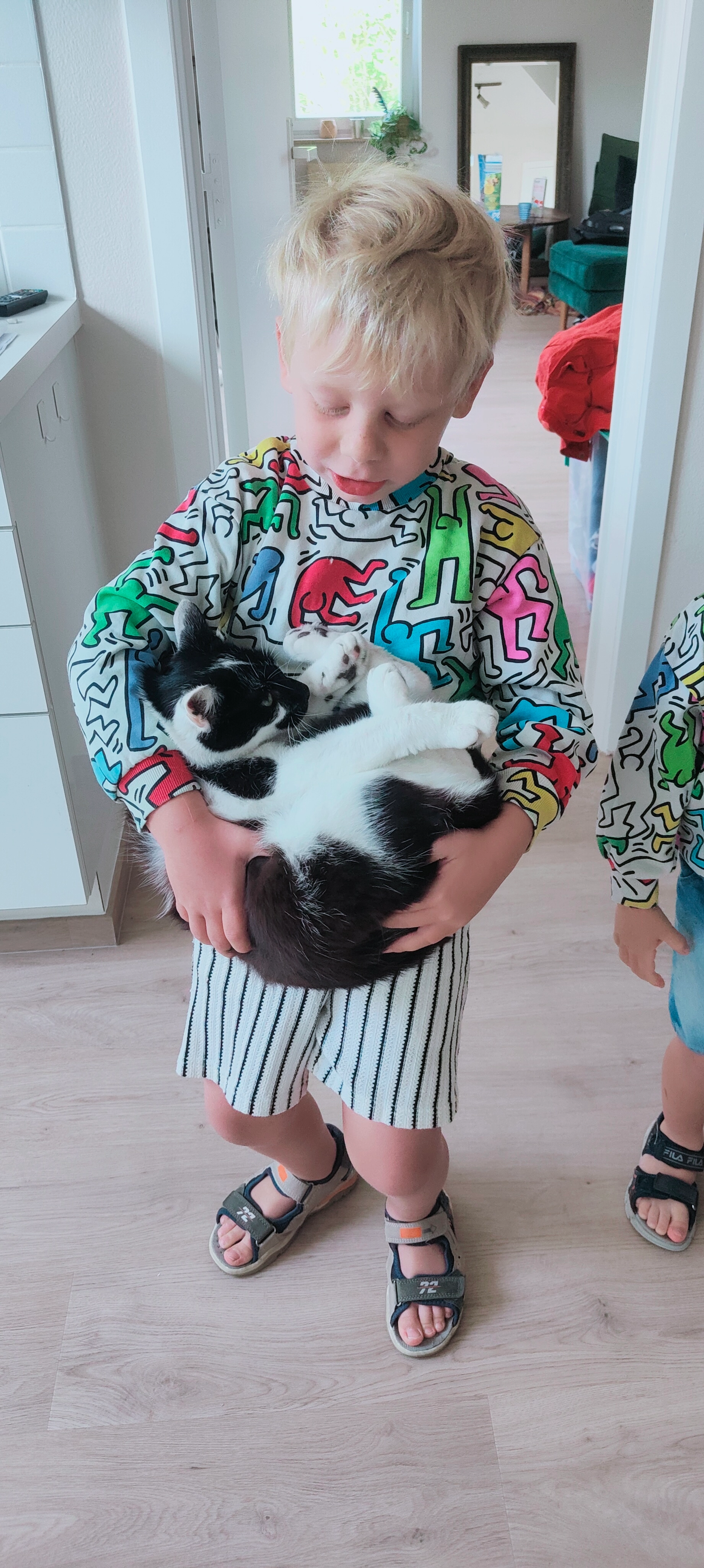 Link  - Noordhinder, Knokke-Heist