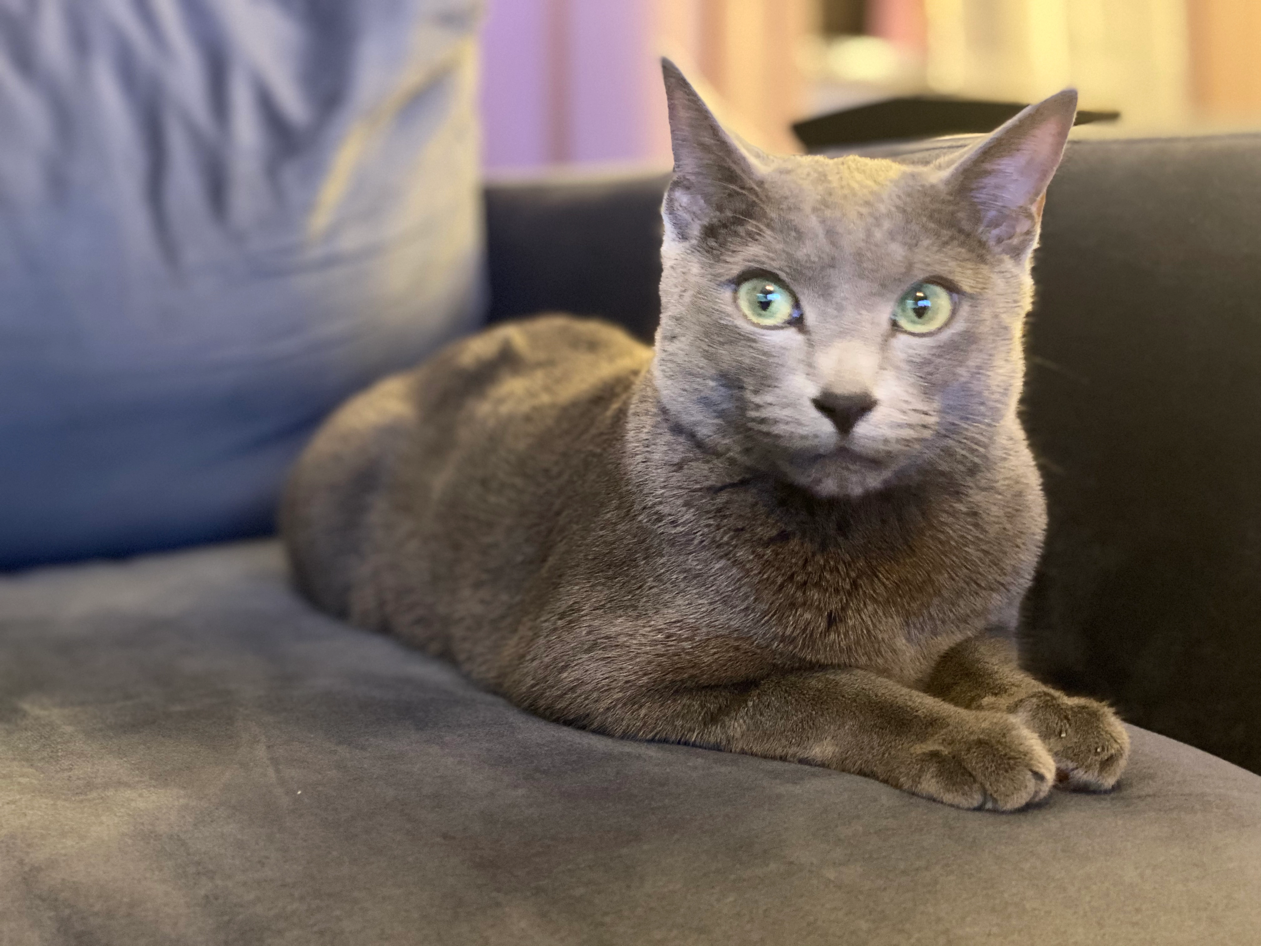 Rolex - Fritz-Walter-Straße, Neufahrn bei Freising