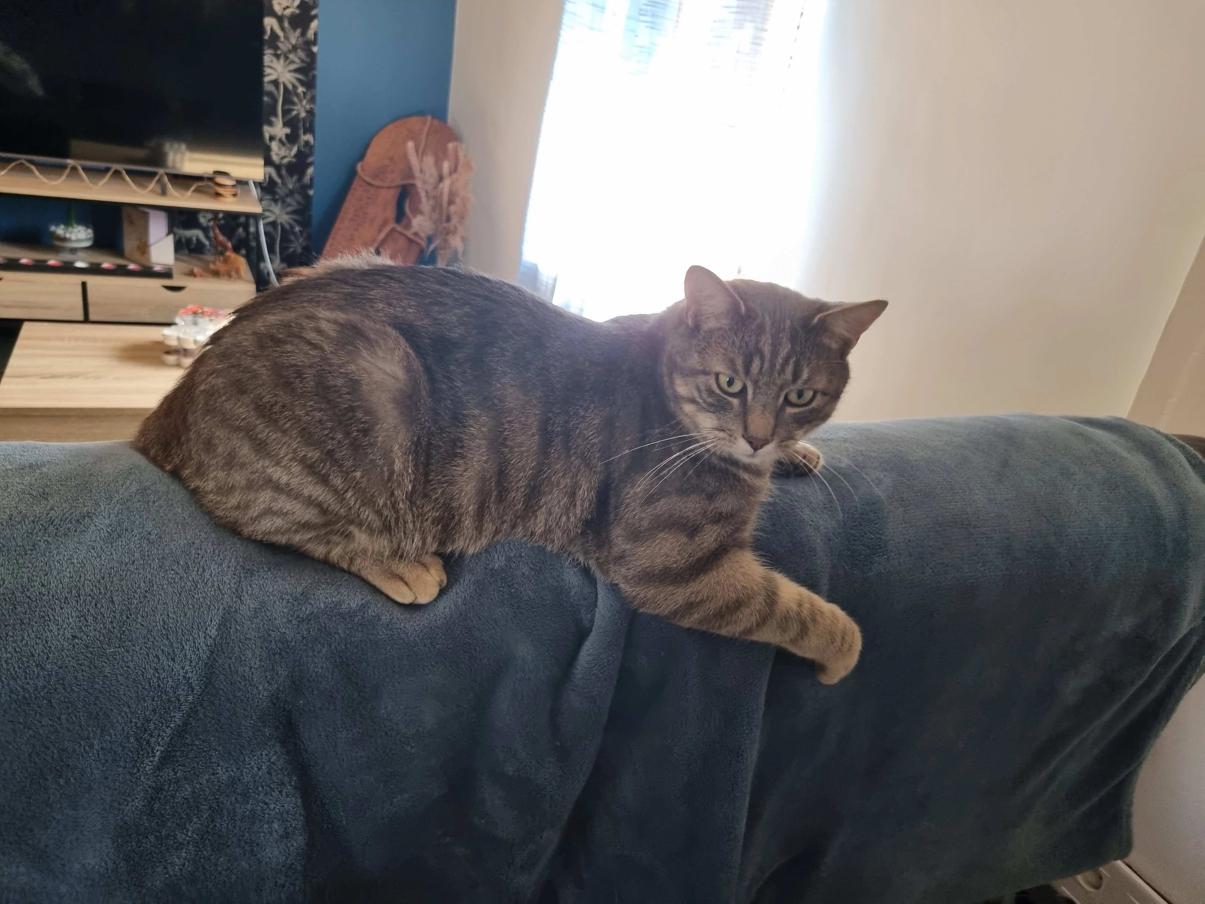 Ragnar - Rue Alexandre Dreux, Tucquegnieux