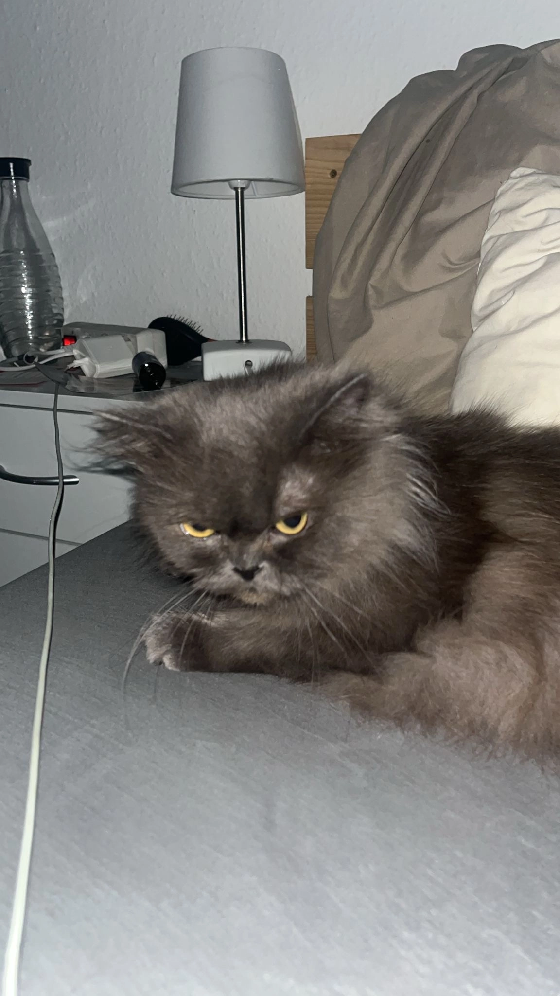 Nele - Kleiststraße 30, Duisburg