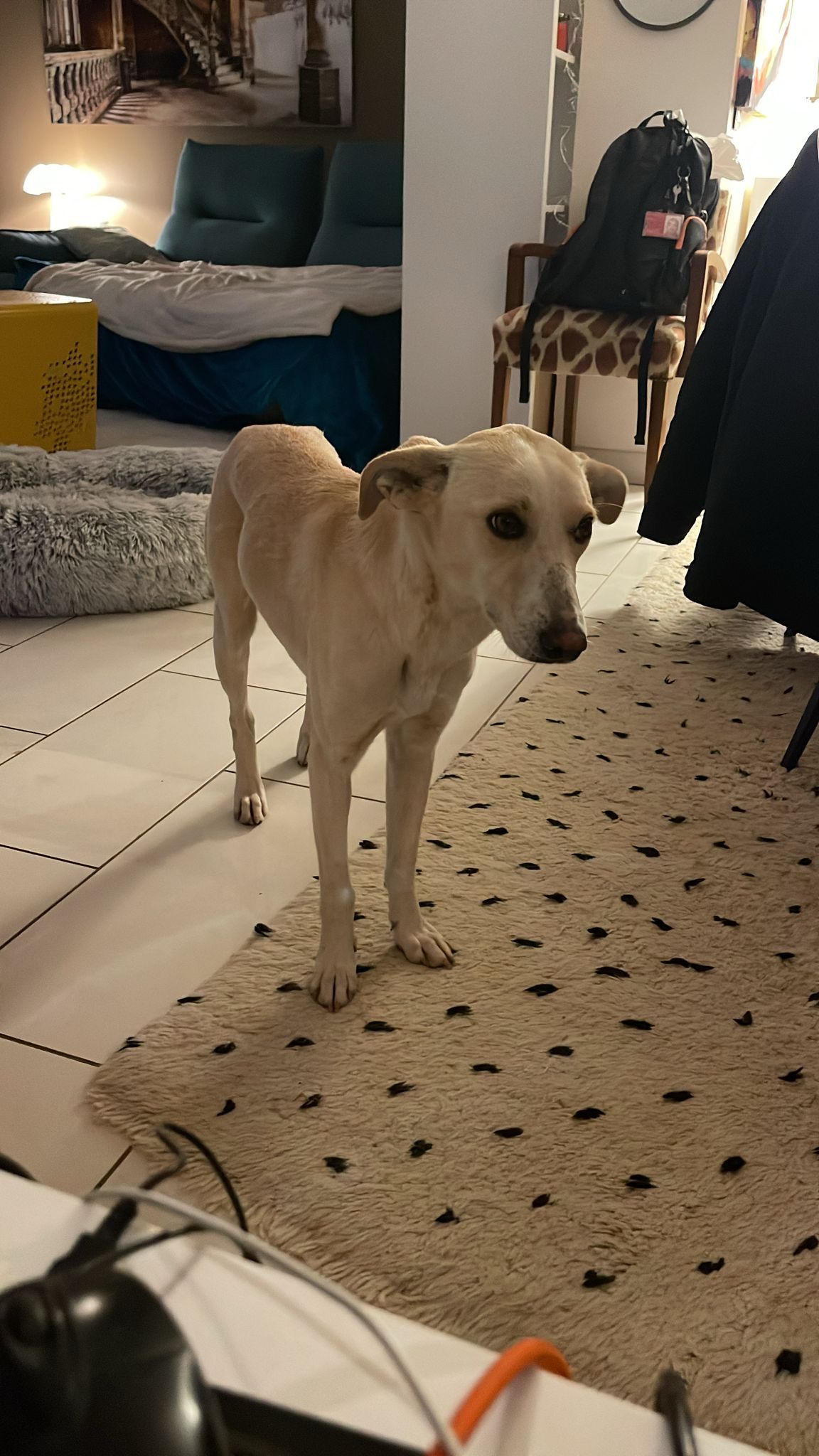 Linette  - Route De La Tuilerie, Montboucher-sur-Jabron