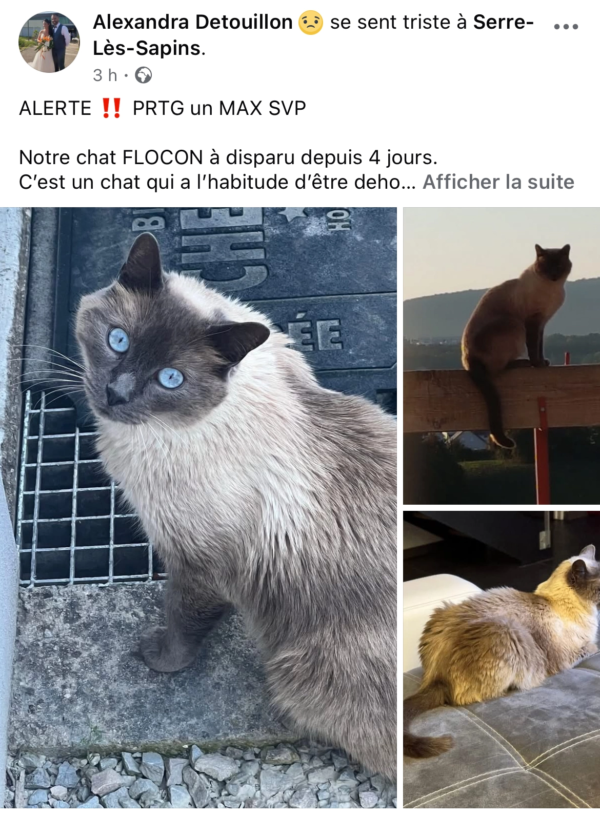 Flocon - 25 Rue de la Machotte, Serre-les-Sapins