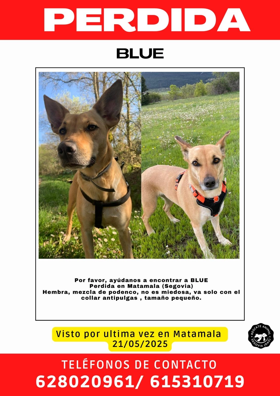 Blue - Calle de San Sebastián 81, Matabuena