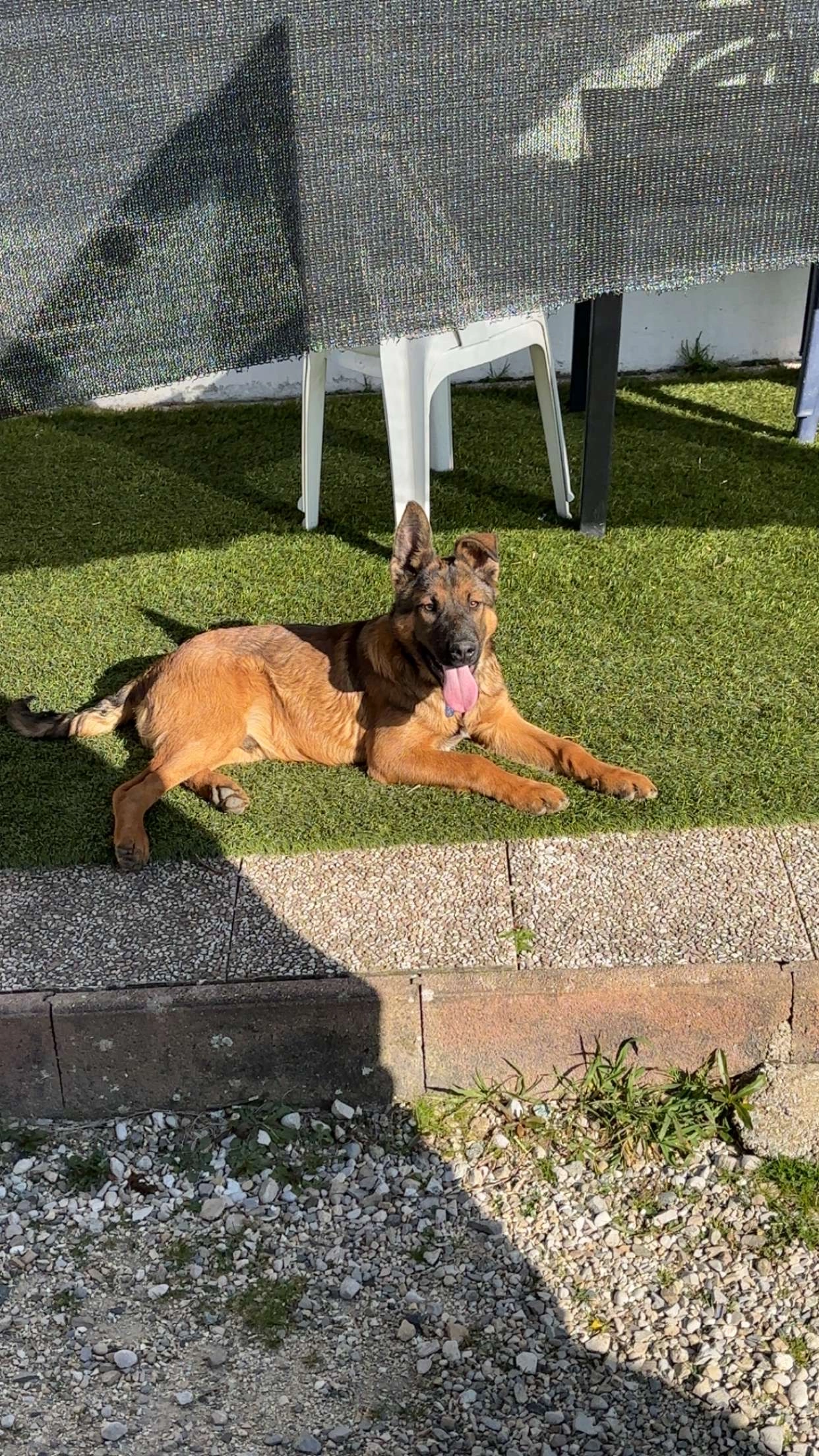 Jack - 175 Impasse du Guillot, Saint-Hilaire-de-la-Côte