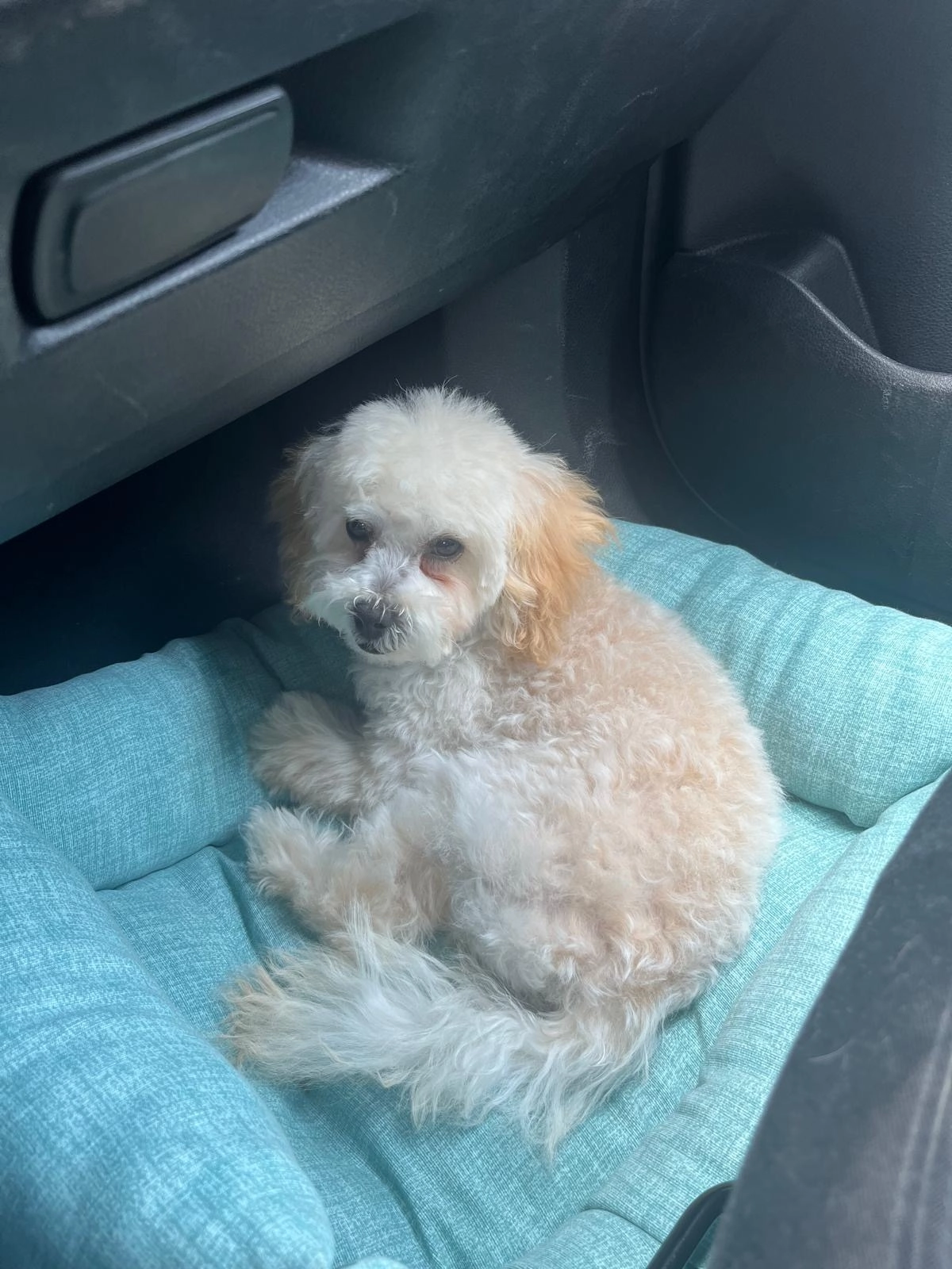 Lana - Daseburger Weg, Paderborn