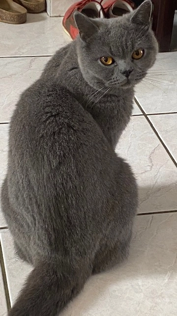 Romy (naissance Thia) - 32 Boulevard de la Liberté, Bures-sur-Yvette