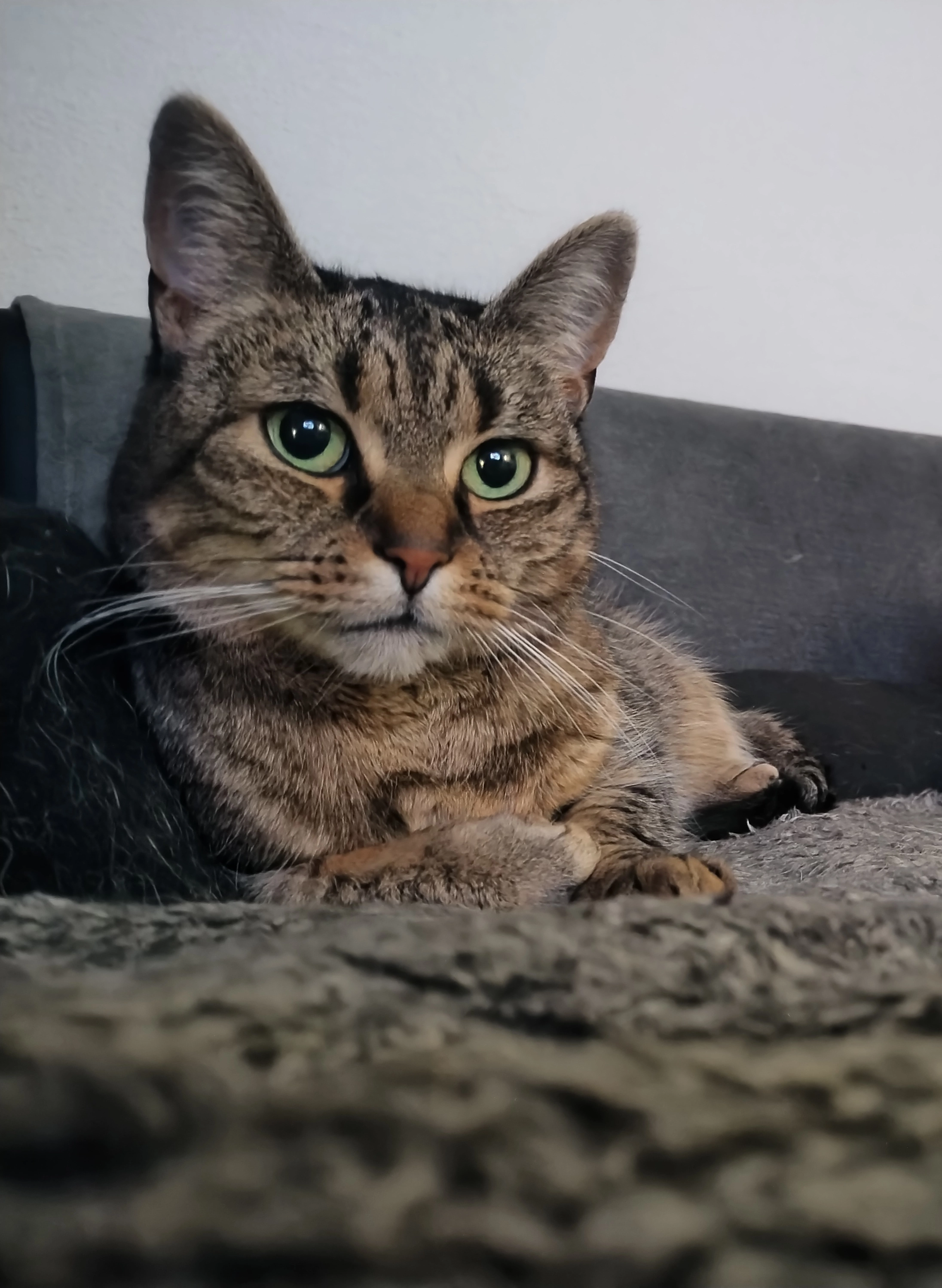 Emma - Landsweilerstraße 4, Schiffweiler