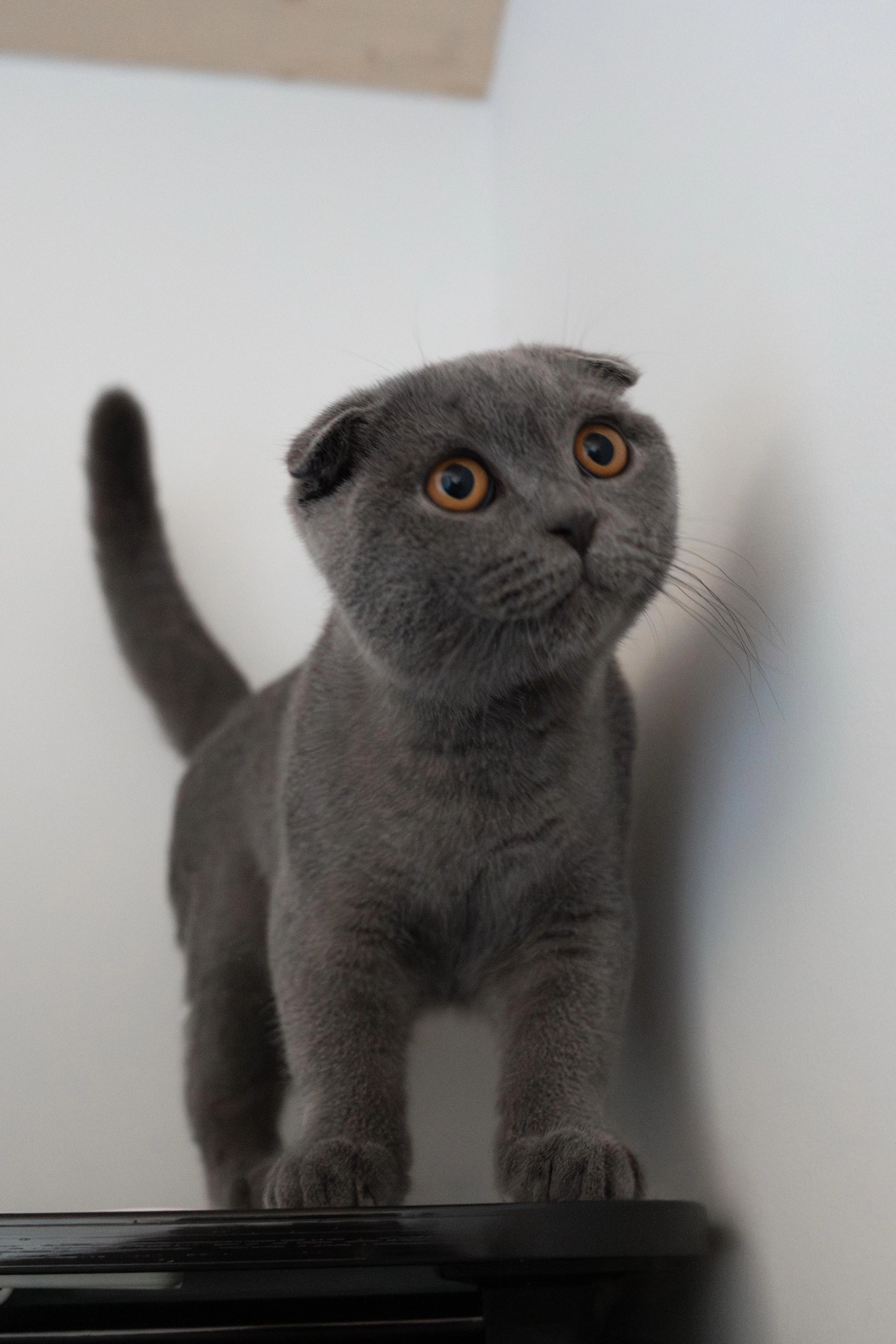 Sam - Westernstraße, Paderborn