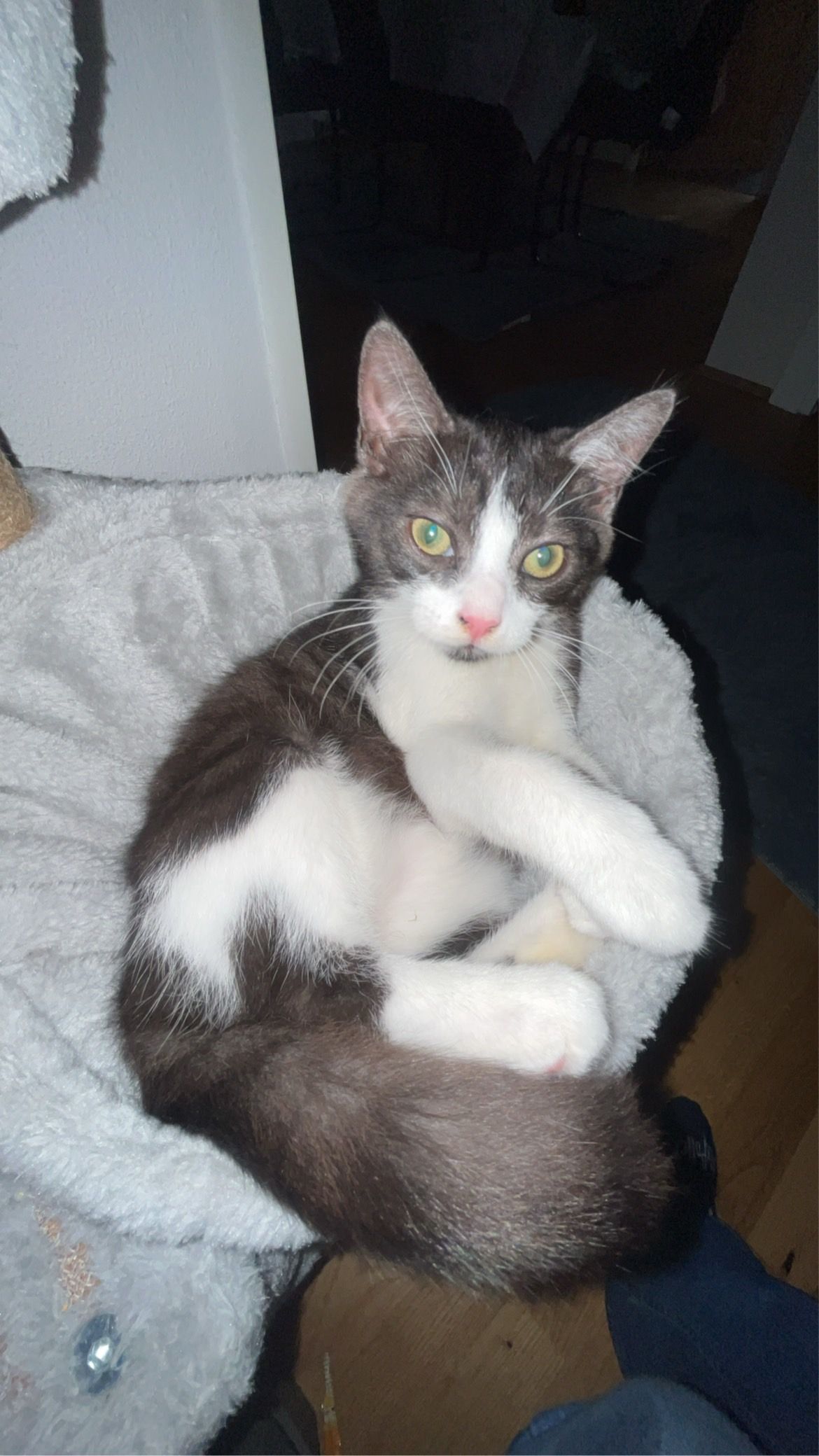 Lili - Kasseler Straße, Lohfelden