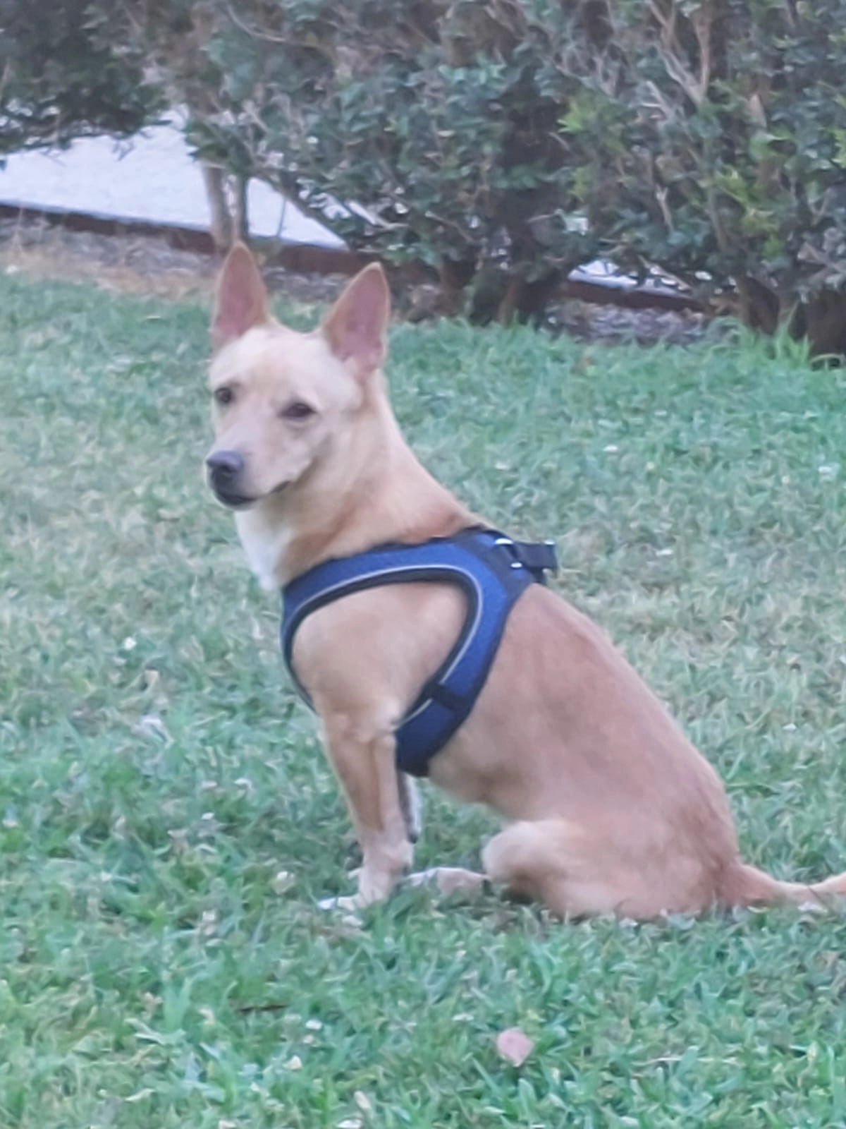 Jackie - Via XX Settembre, Roma