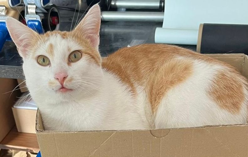 Ready - Breitenhölzer Straße, Leinefelde-Worbis