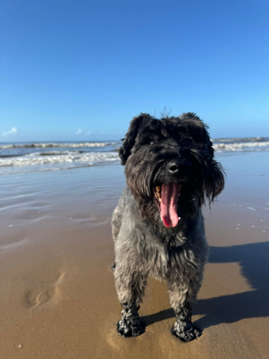Lennon - Hyde Park, London
