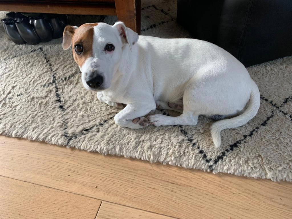 Lenny - Rue Du Commandant Rolland, Marseille