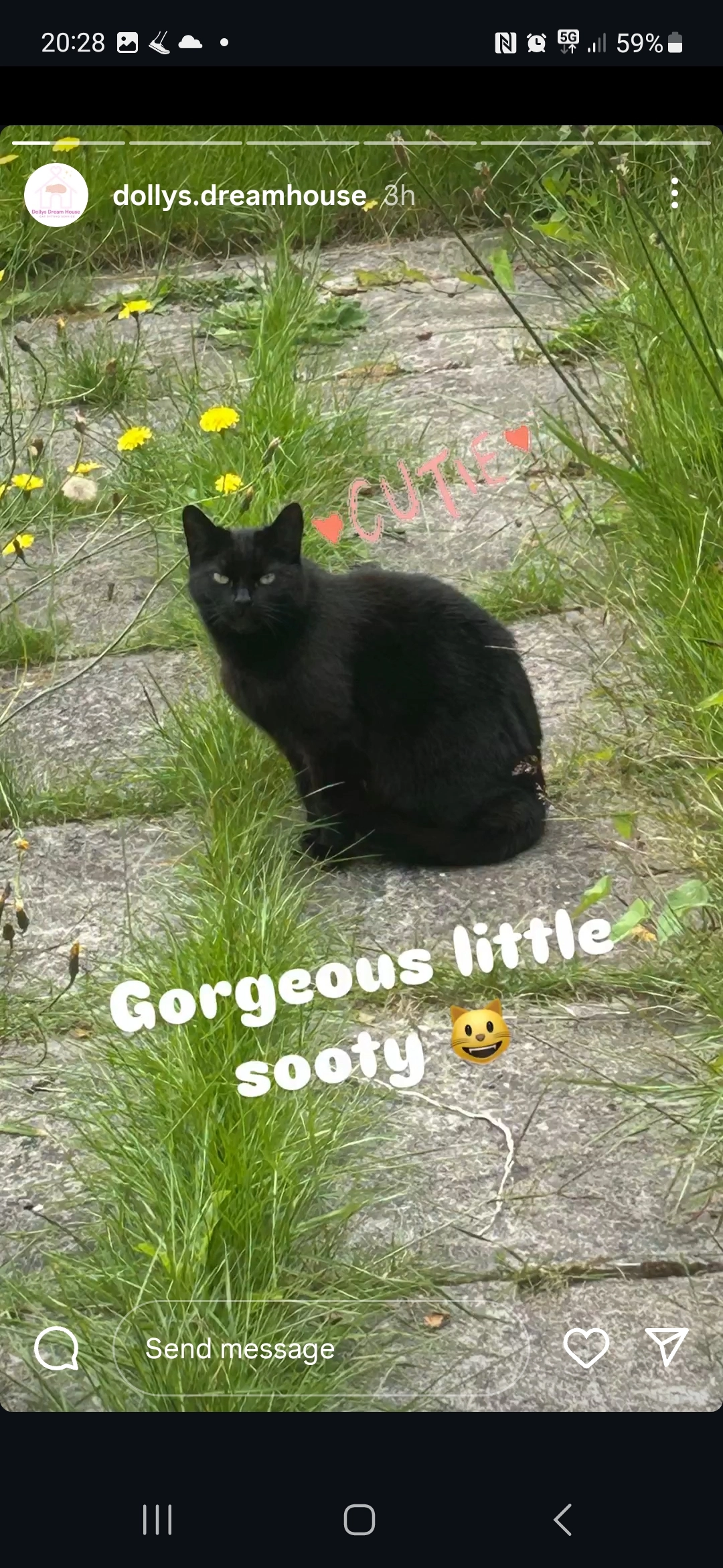 Sooty - Cheviot Way, Liverpool