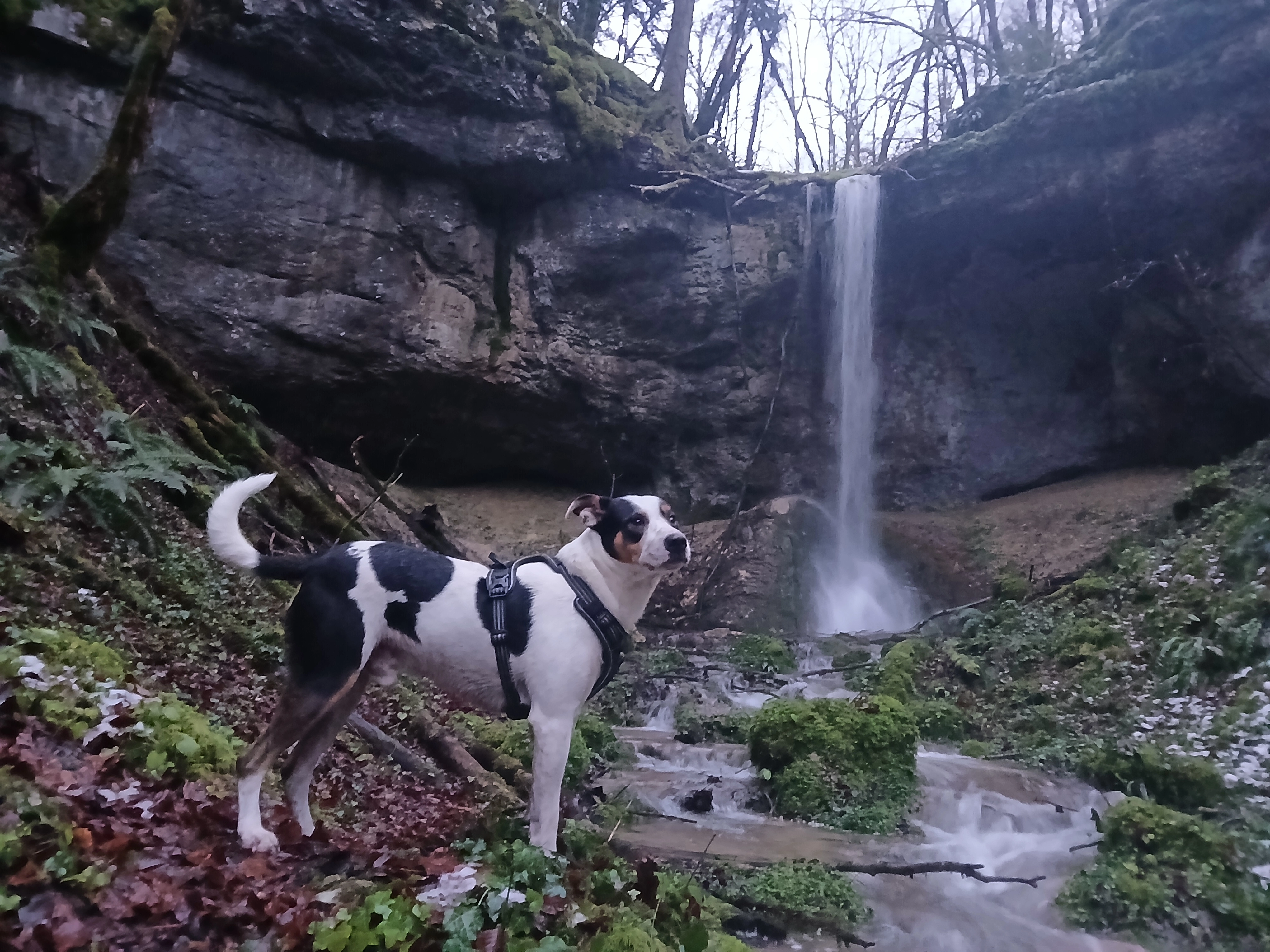 Zéouss - Rue De La Rotonde, Pontarlier