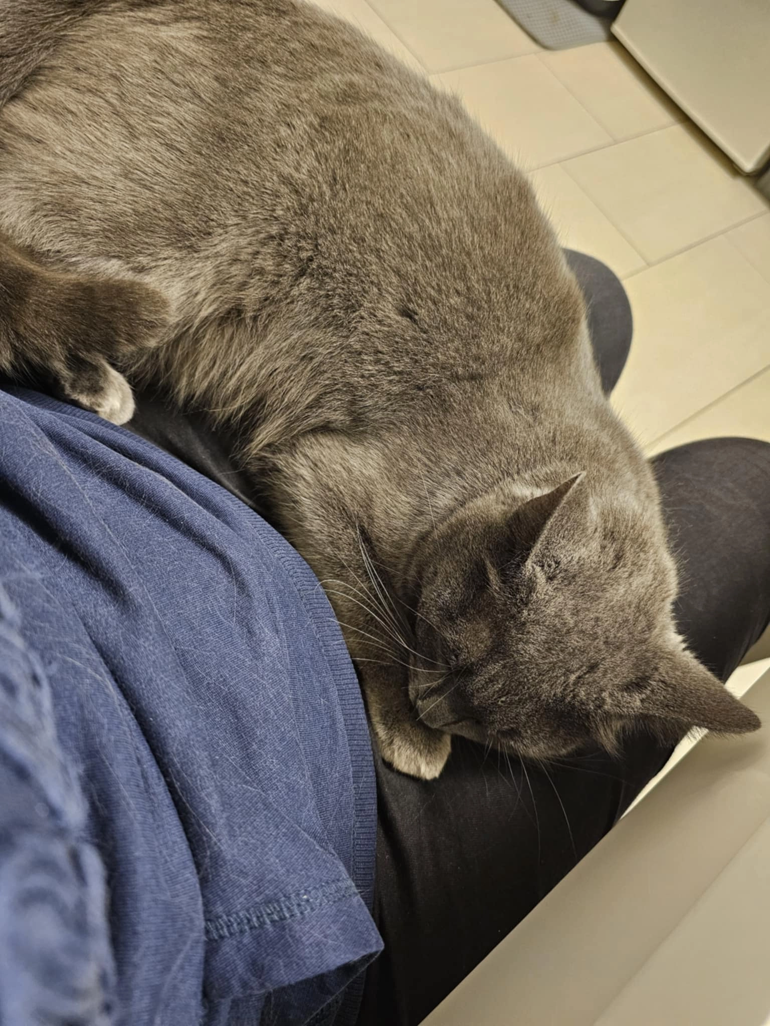 Zara - Im Hofacker, Tecknau