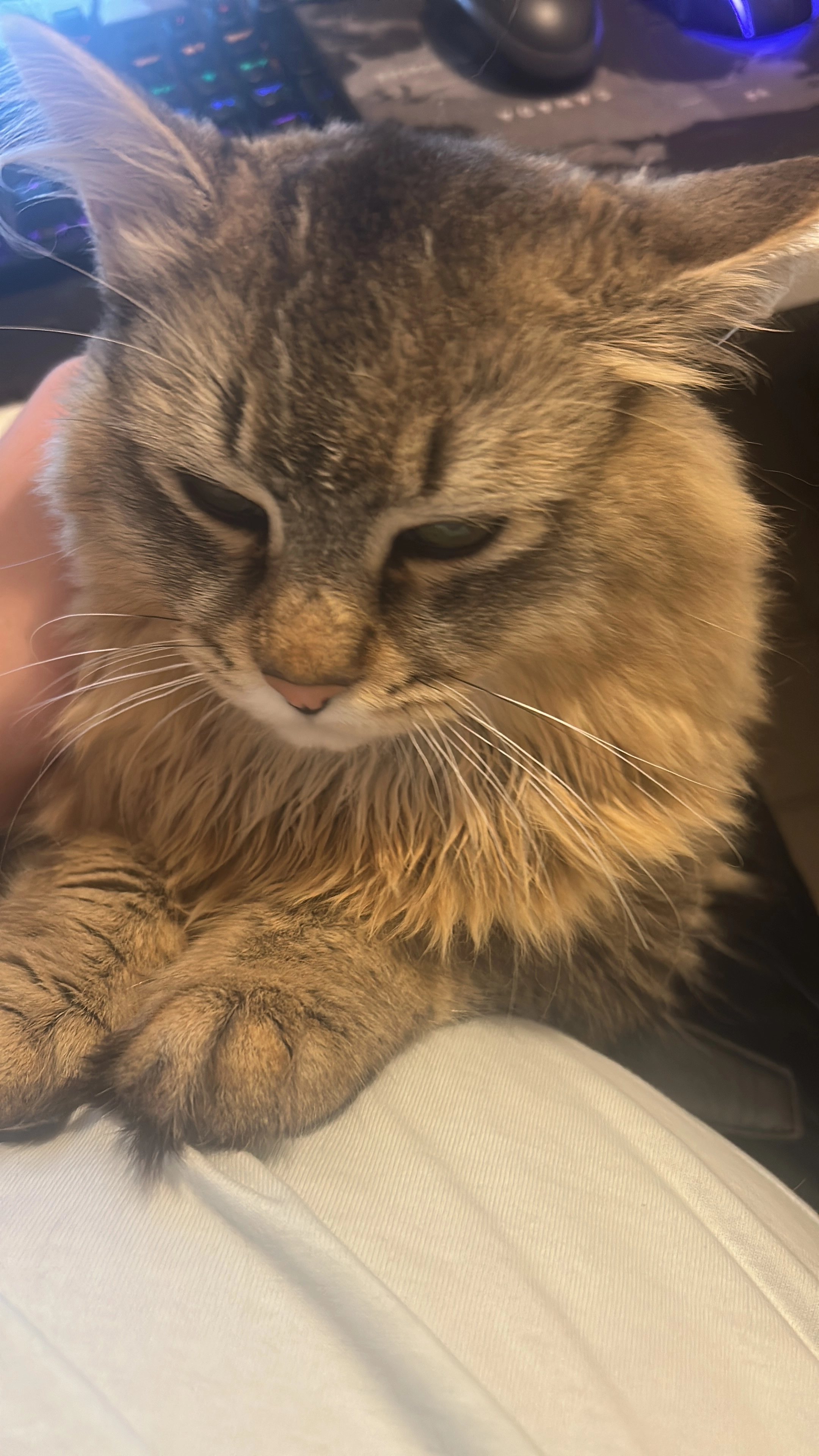 Charlie  - Zechenstraße 25, Herzogenrath