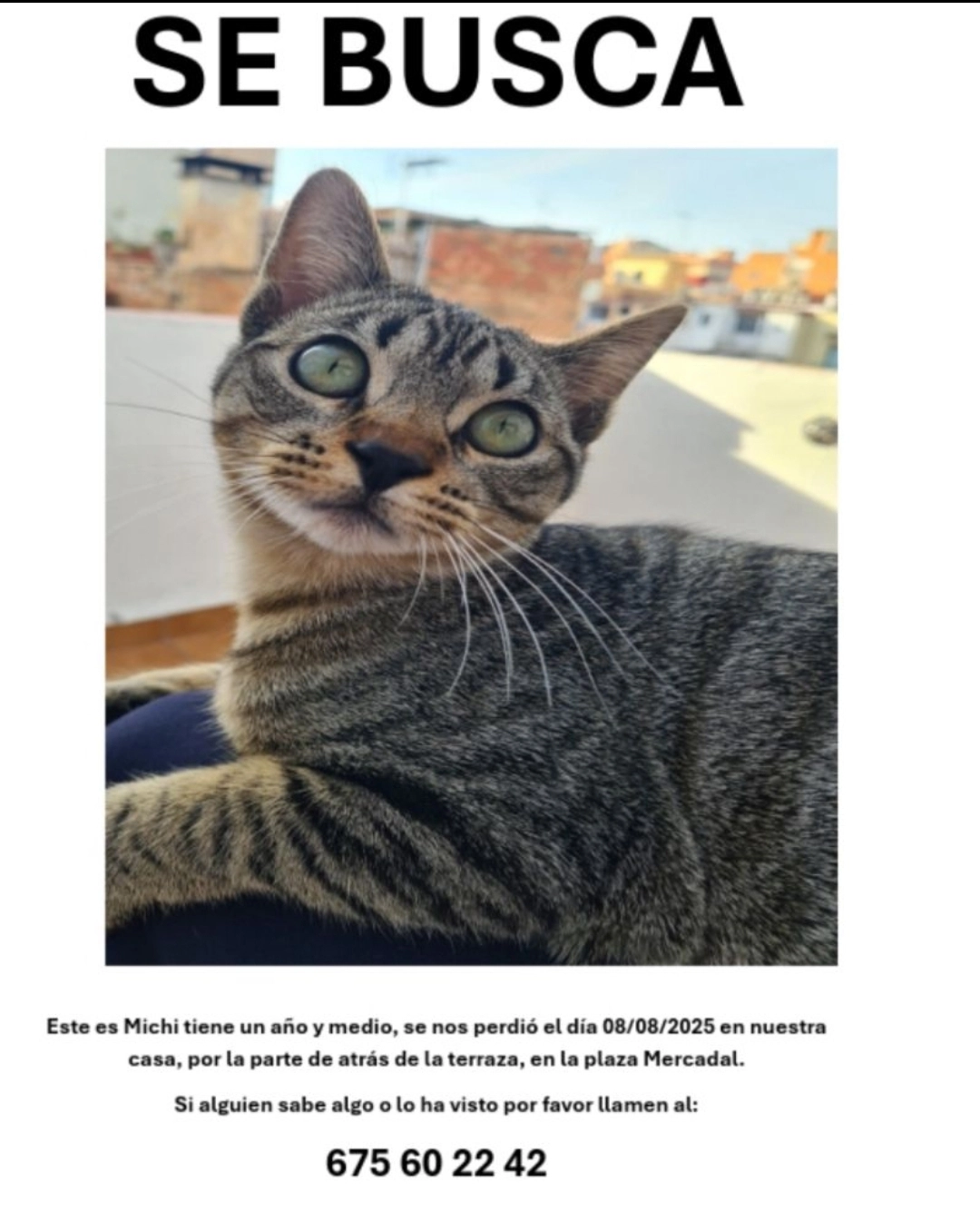 Michi - Plaza del Mercadal 21, Barcelona