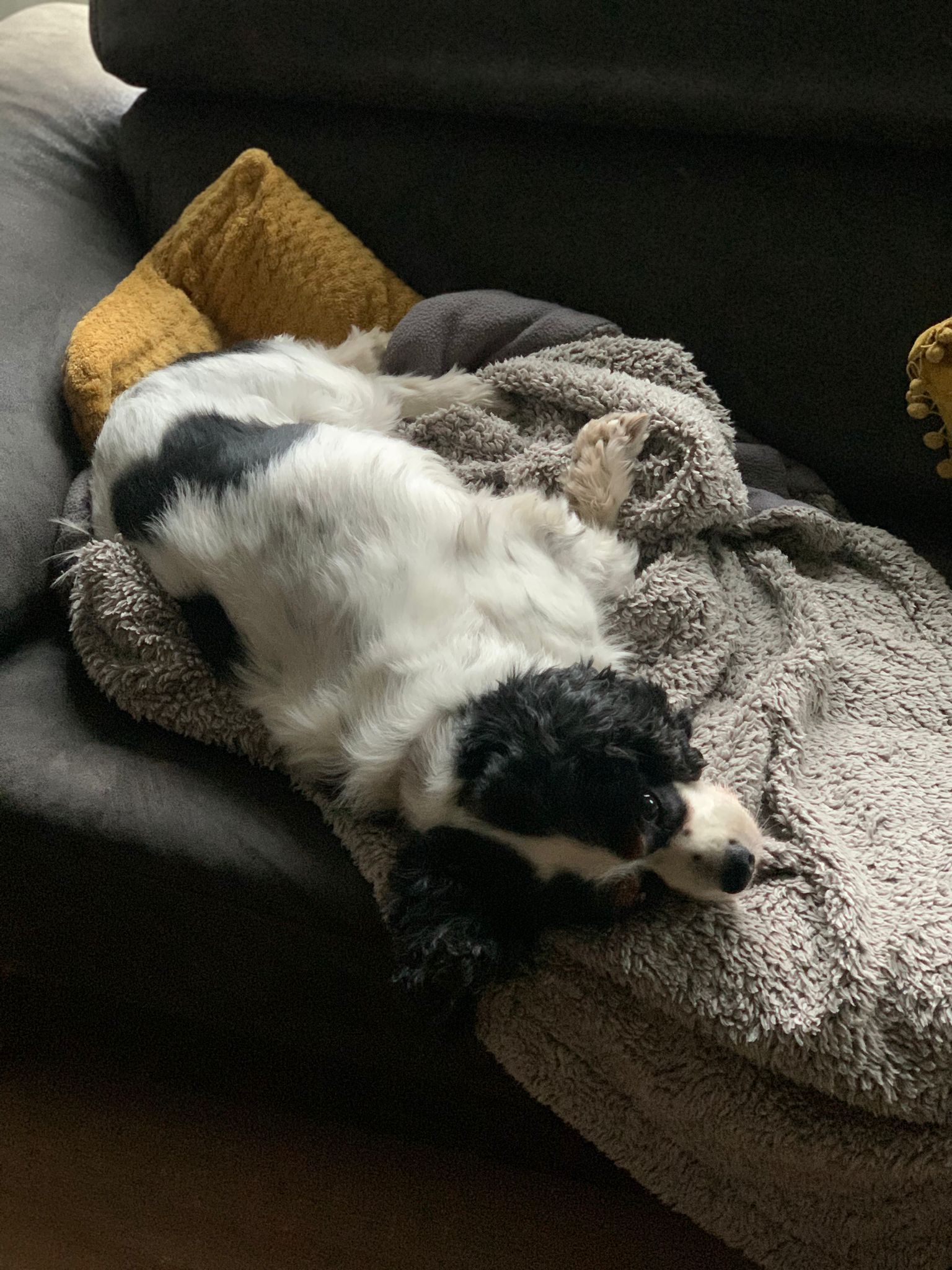 Bono - Velodroomstraat 9, Brugge