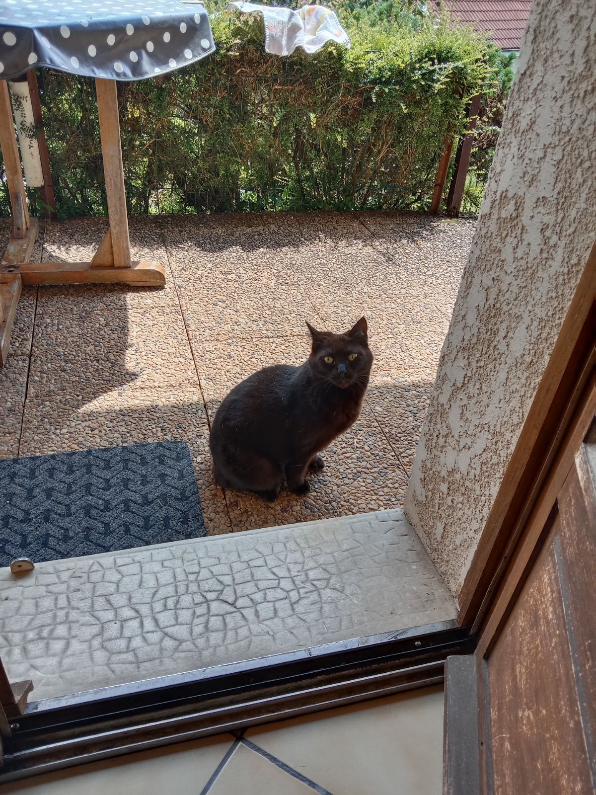 Java - 19 Rue du Puy de Lovis, Tulle