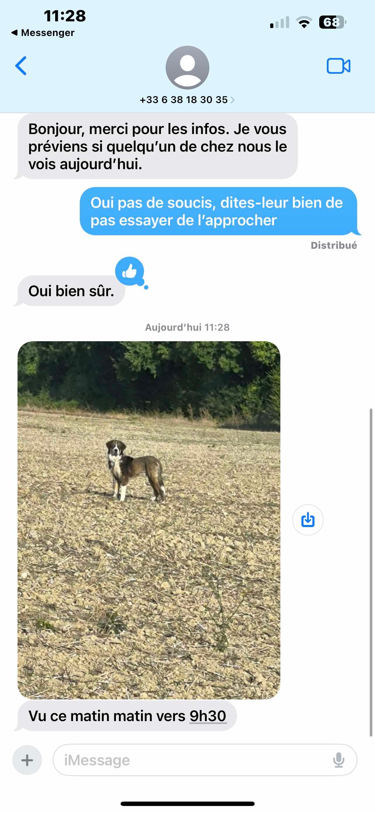 voyou - D 911b, Surgères