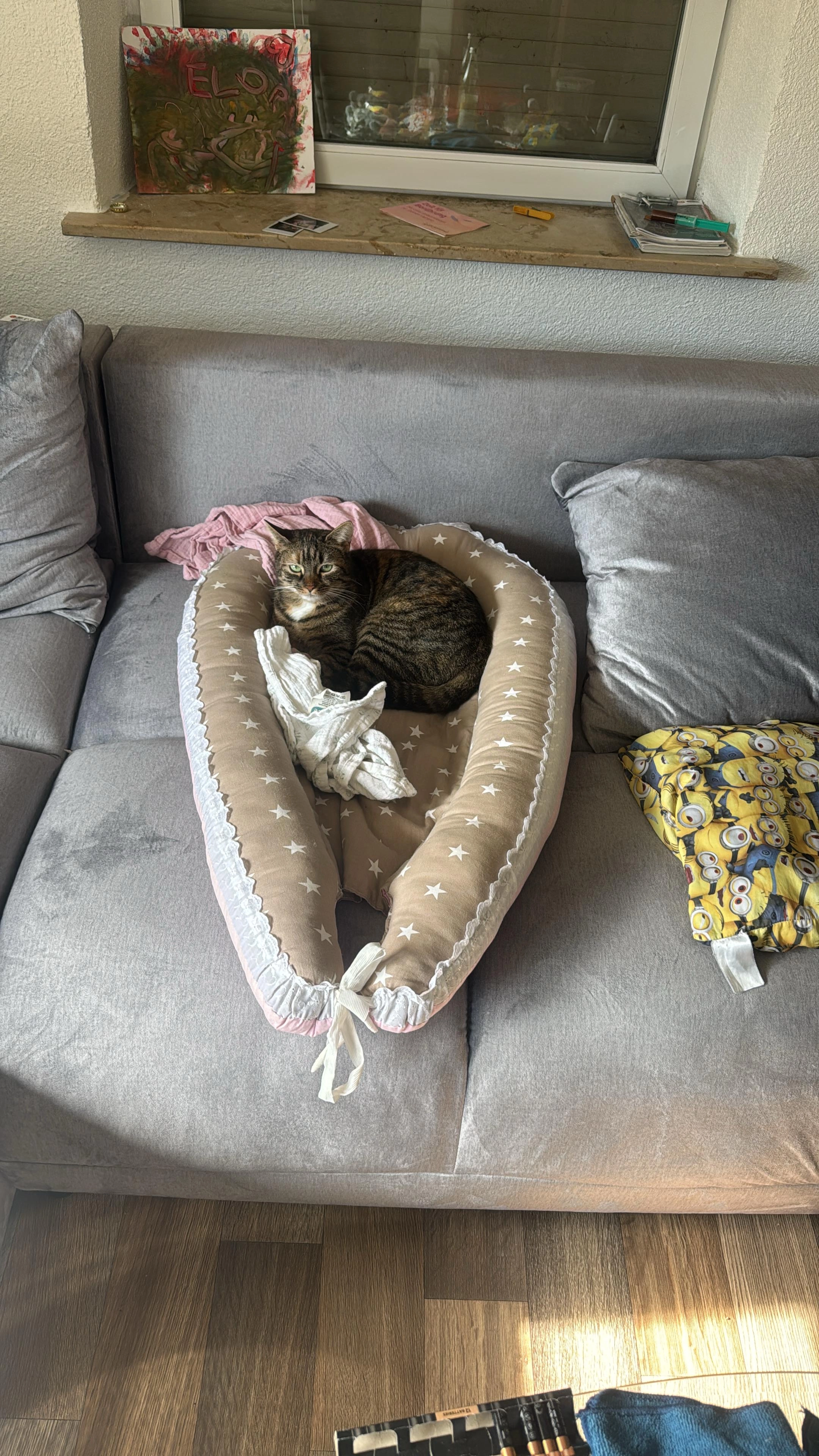 Coco  - Brunnenstraße Billafingen , Langenenslingen