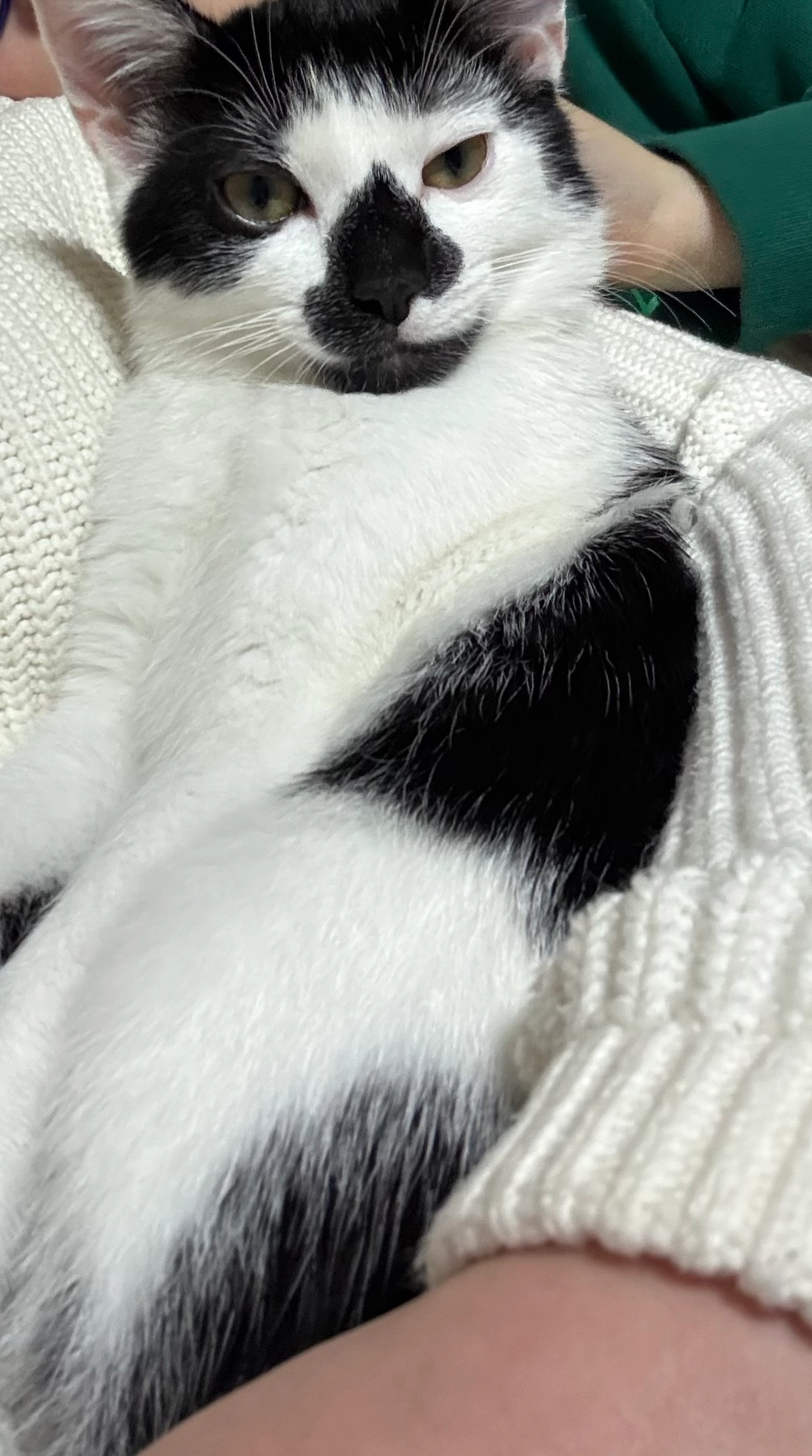 Filka  - Im Schützengrund, Neuwied