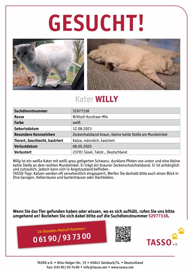 Willy - Talstraße, Süsel