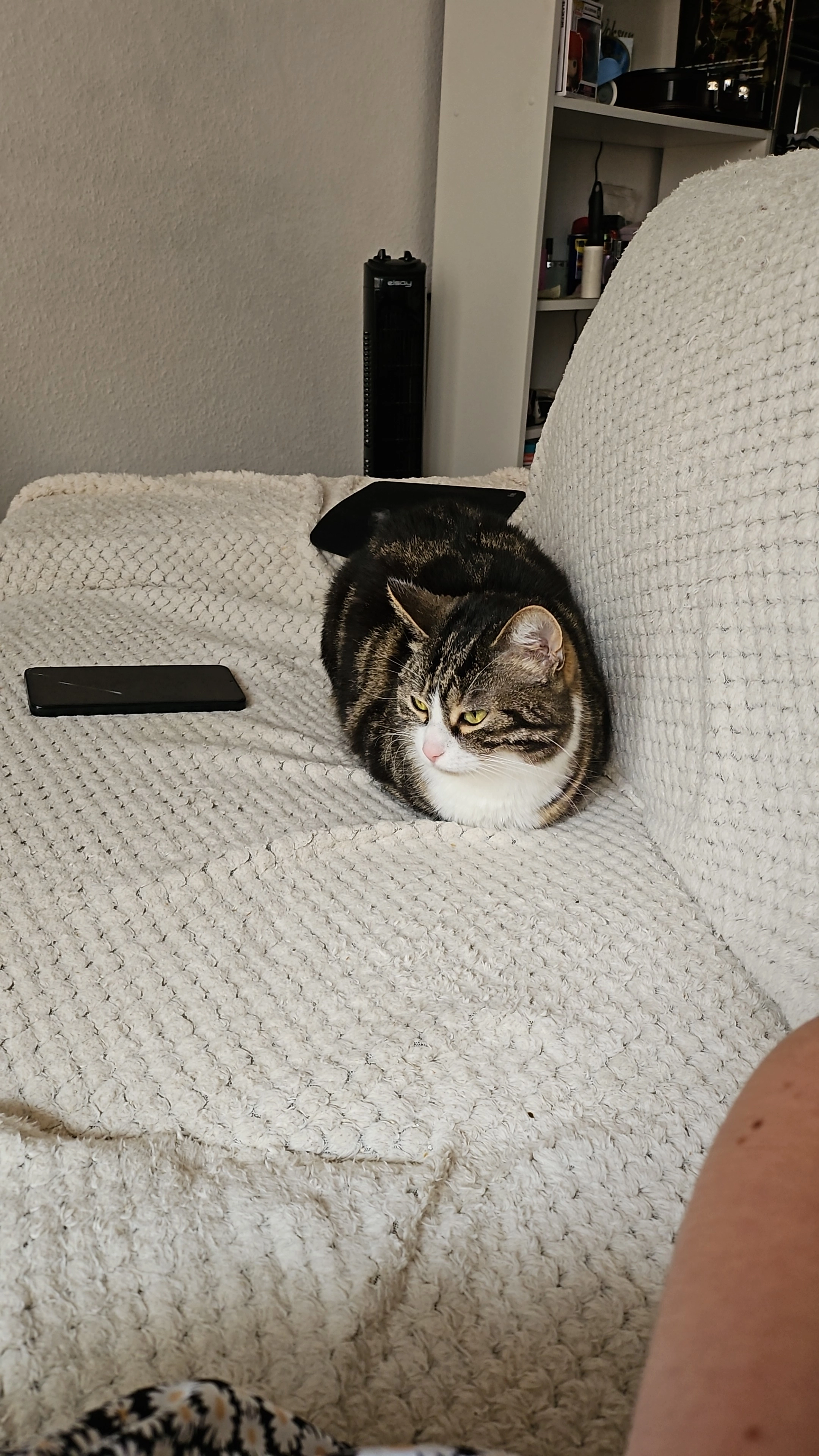 Valky  - Rue Des Vignerons, Turckheim