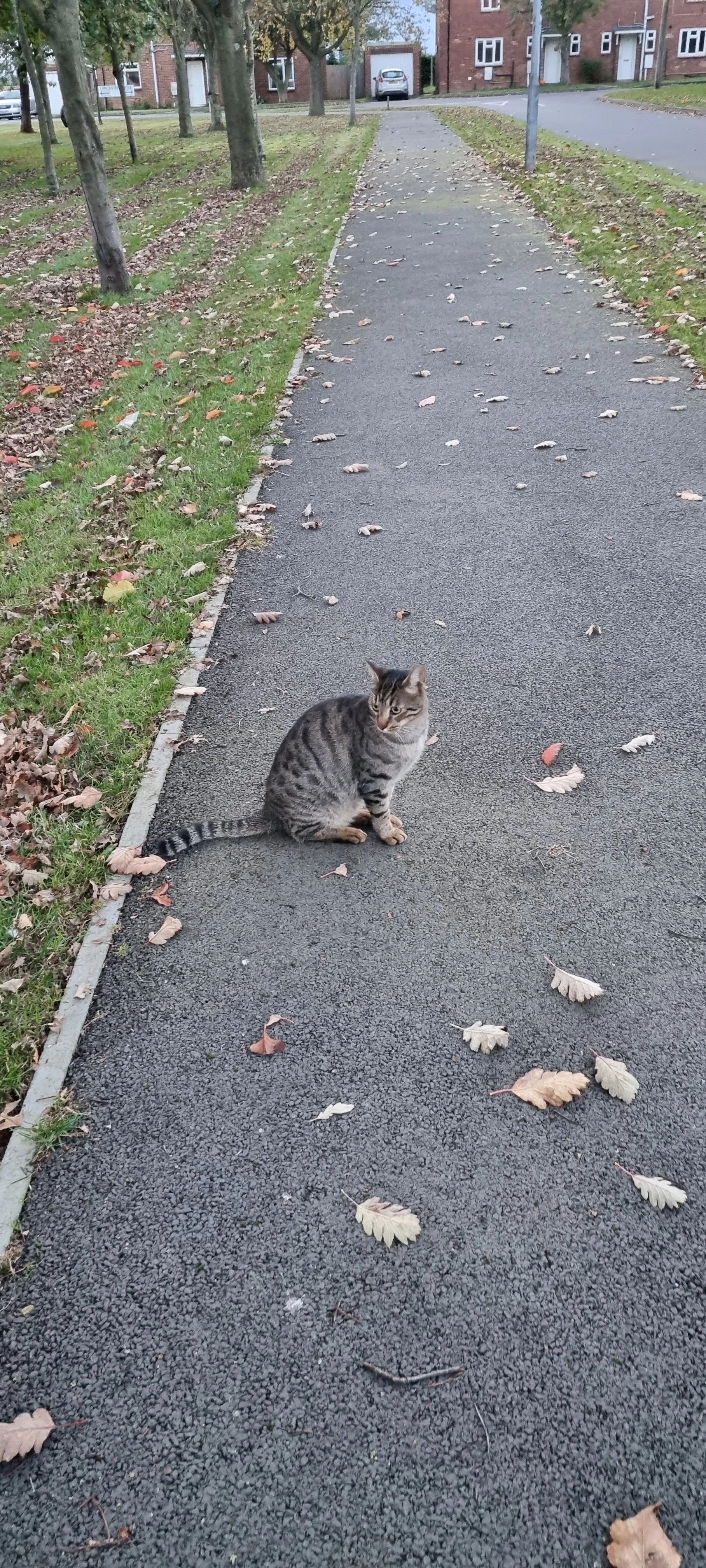 Pluto - Lancaster Drive, Lincoln
