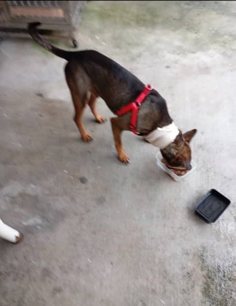 Ramam - Jalan Puchong, Dengkil