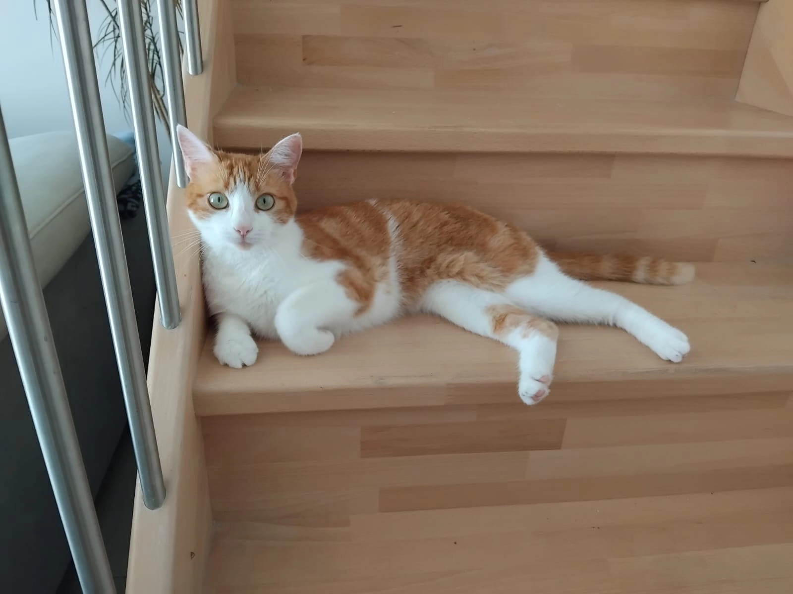 Tsuki - Chemin Du Calvaire, Vals-les-Bains