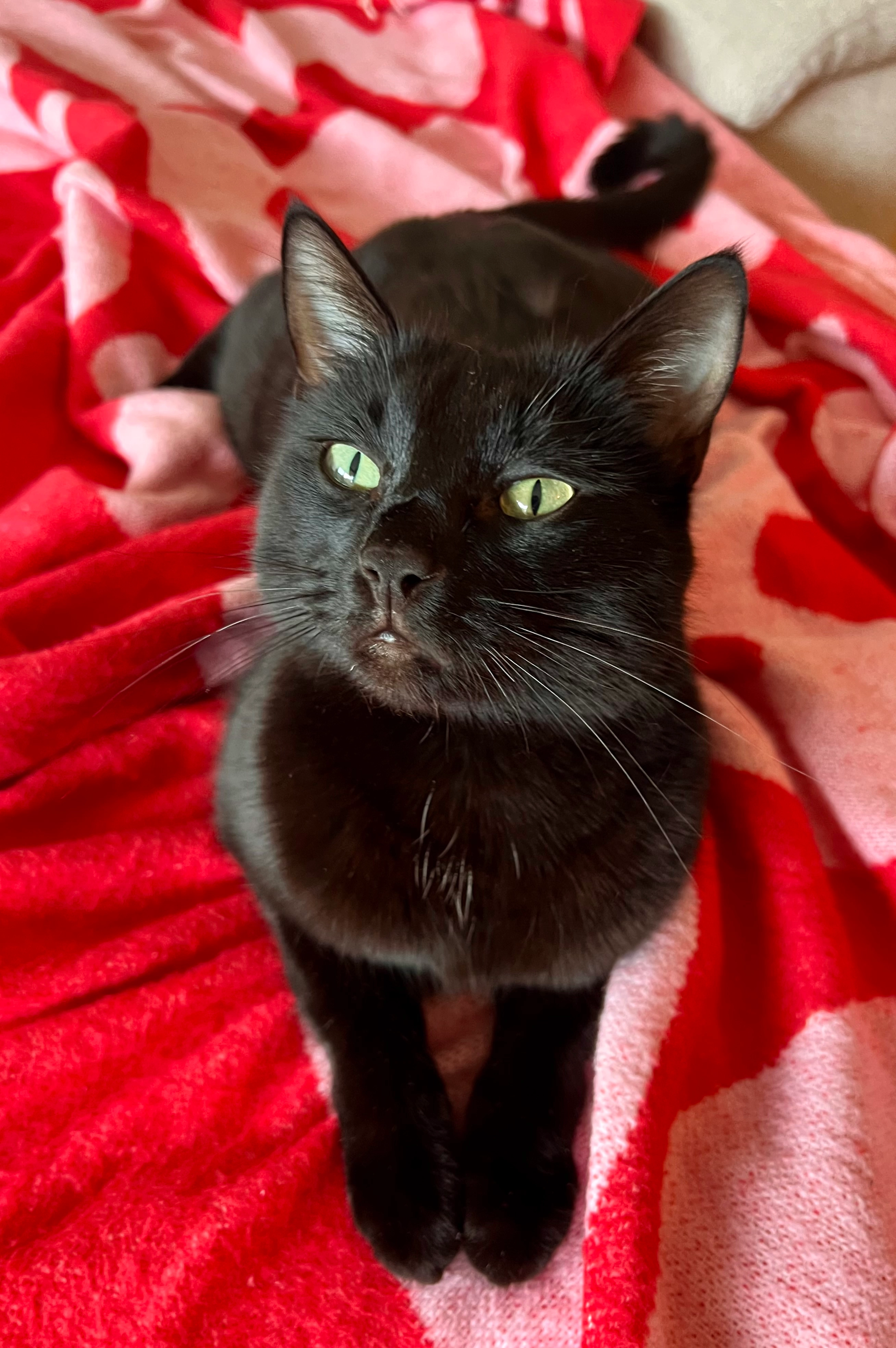 Lucifer - In der Bündt 5, Weiler