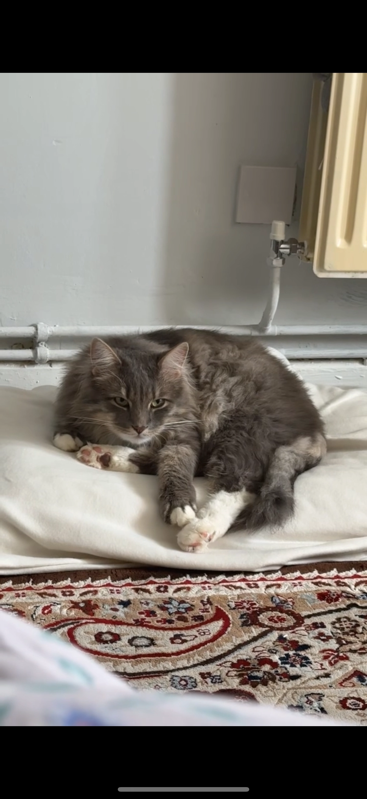 Luvi  - Snowberry Close, Milton Keynes