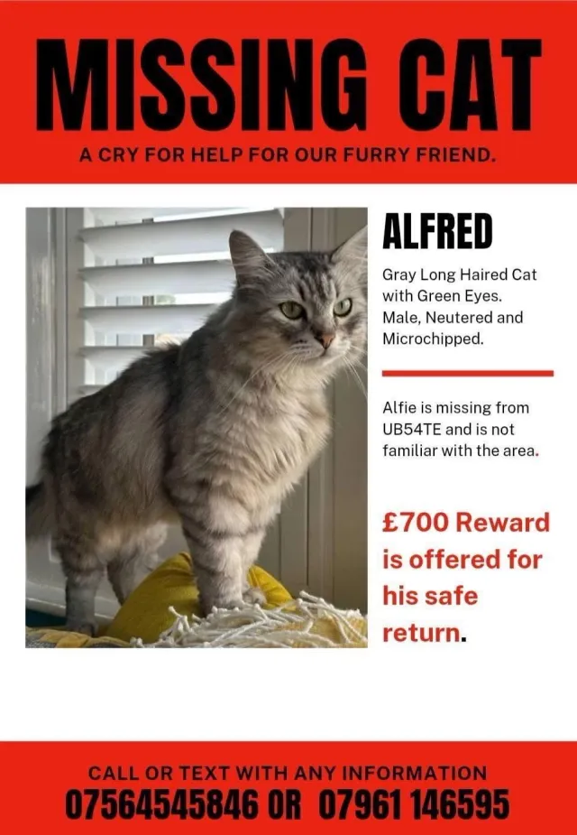 Alfred - UB5 4, Northolt