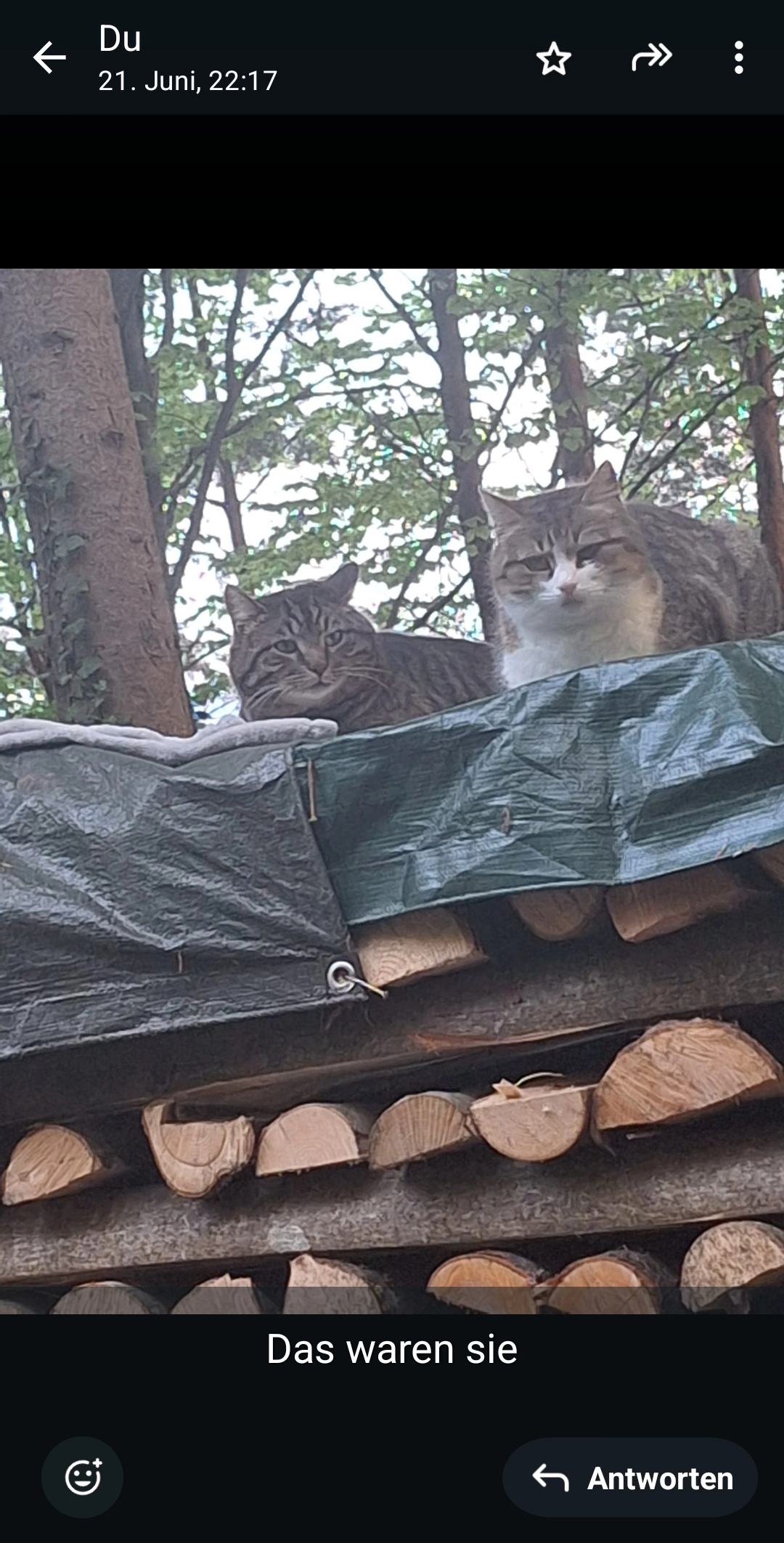 Lillyfee und Tiegerle - Viktorsberger Straße, Röthis